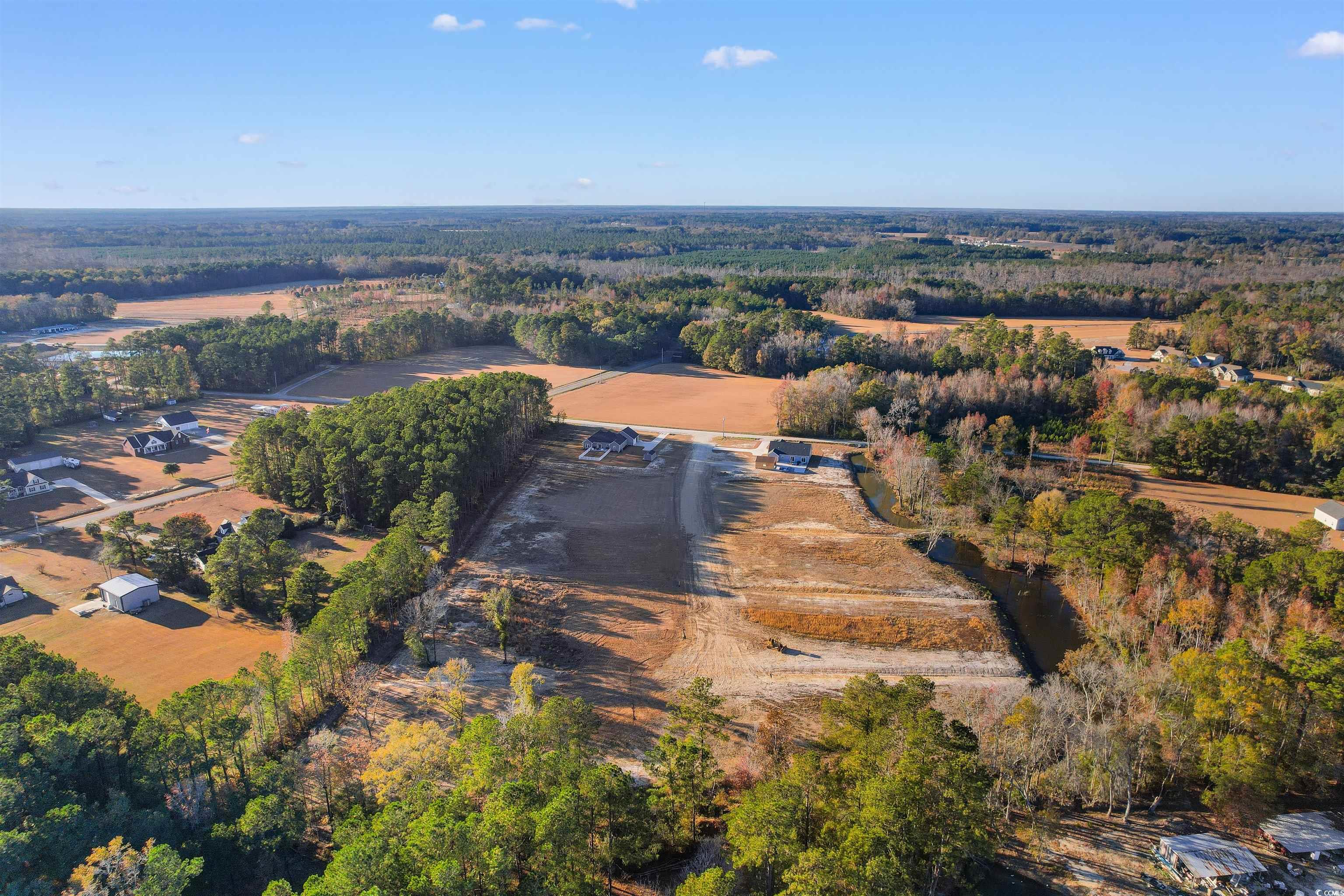 TBD Hodges Rd., Conway, South Carolina image 8