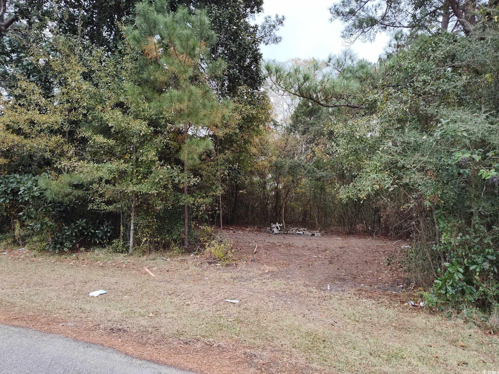 Lot 6 Sea Ray Ln, Latta, South Carolina image 2