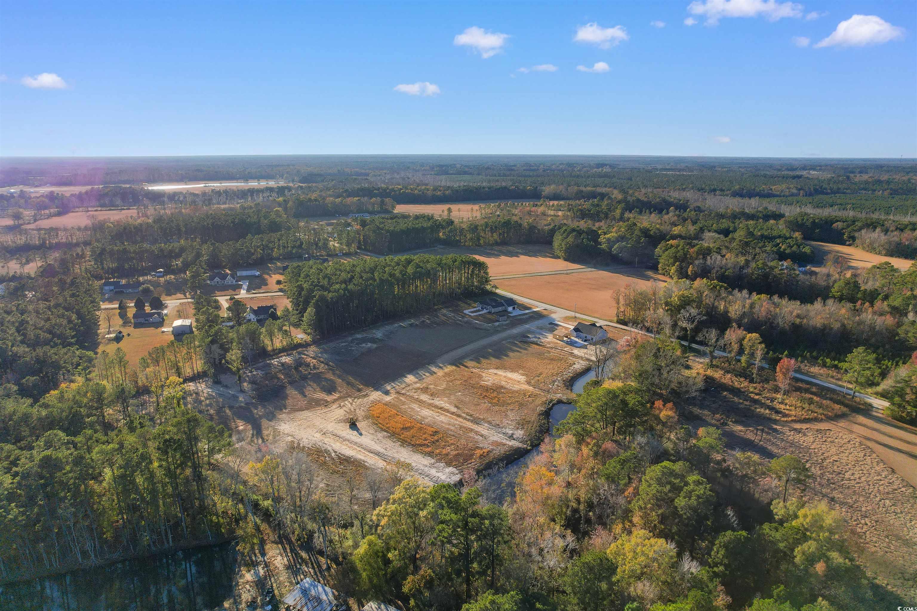 TBD Hodges Rd., Conway, South Carolina image 9