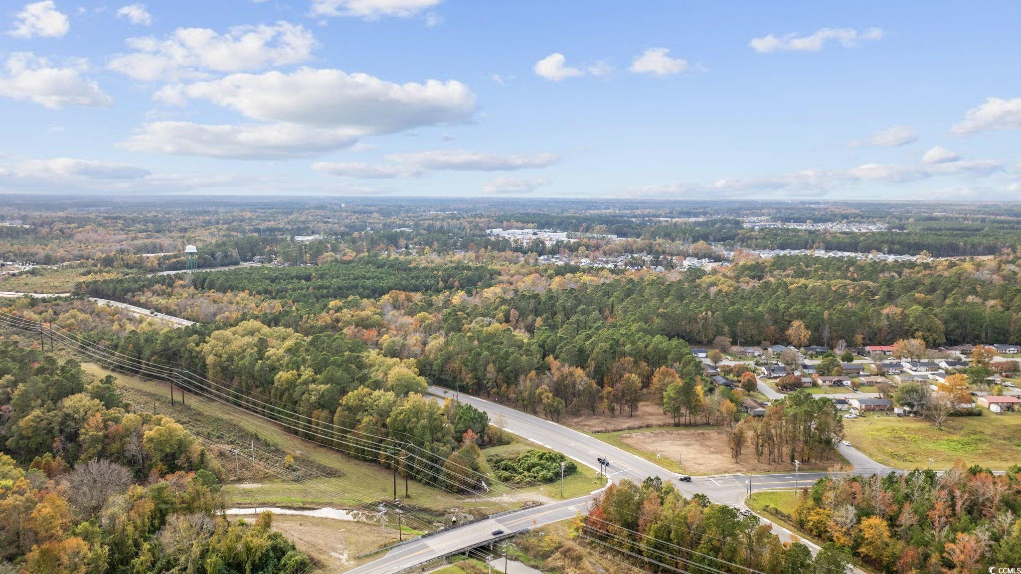 TBD Mill Pond Rd., Conway, South Carolina image 1