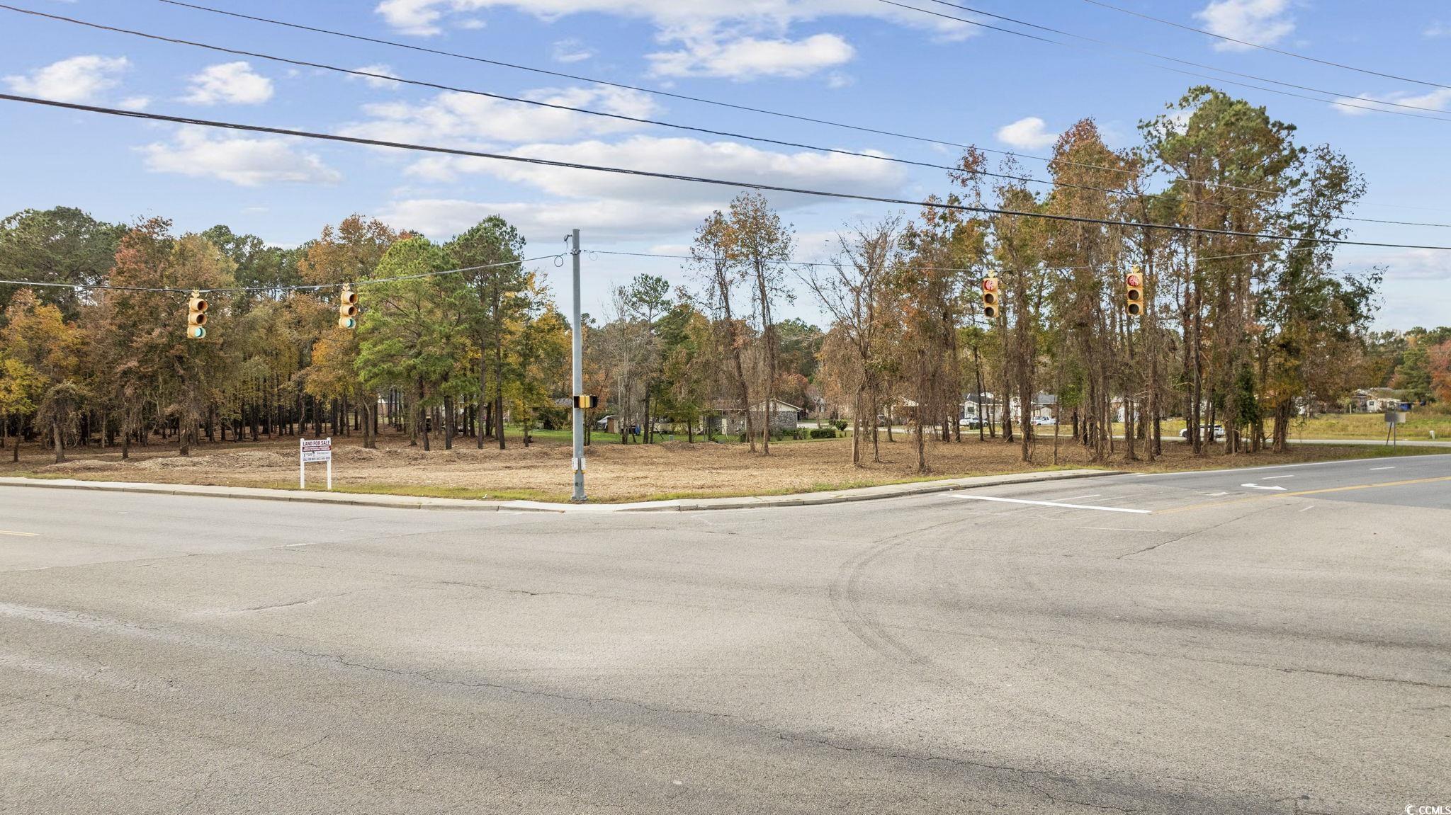 TBD Mill Pond Rd., Conway, South Carolina image 11