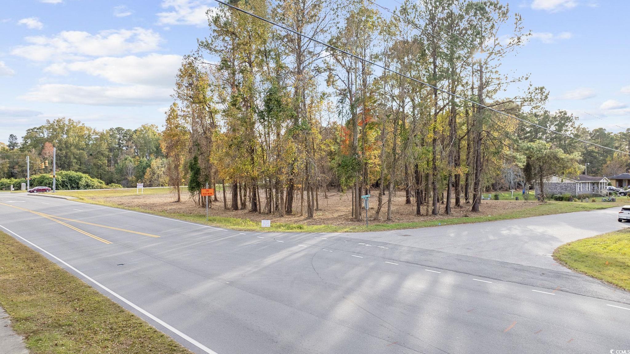 TBD Mill Pond Rd., Conway, South Carolina image 13