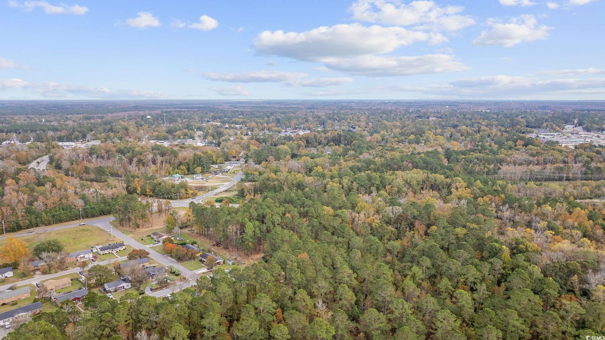 TBD Mill Pond Rd., Conway, South Carolina image 24