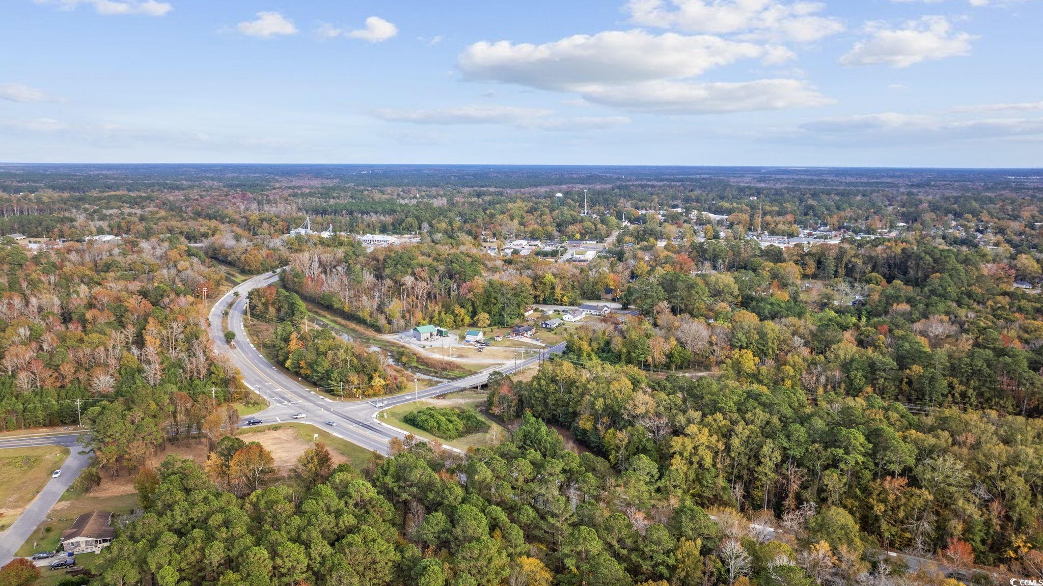 TBD Mill Pond Rd., Conway, South Carolina image 8