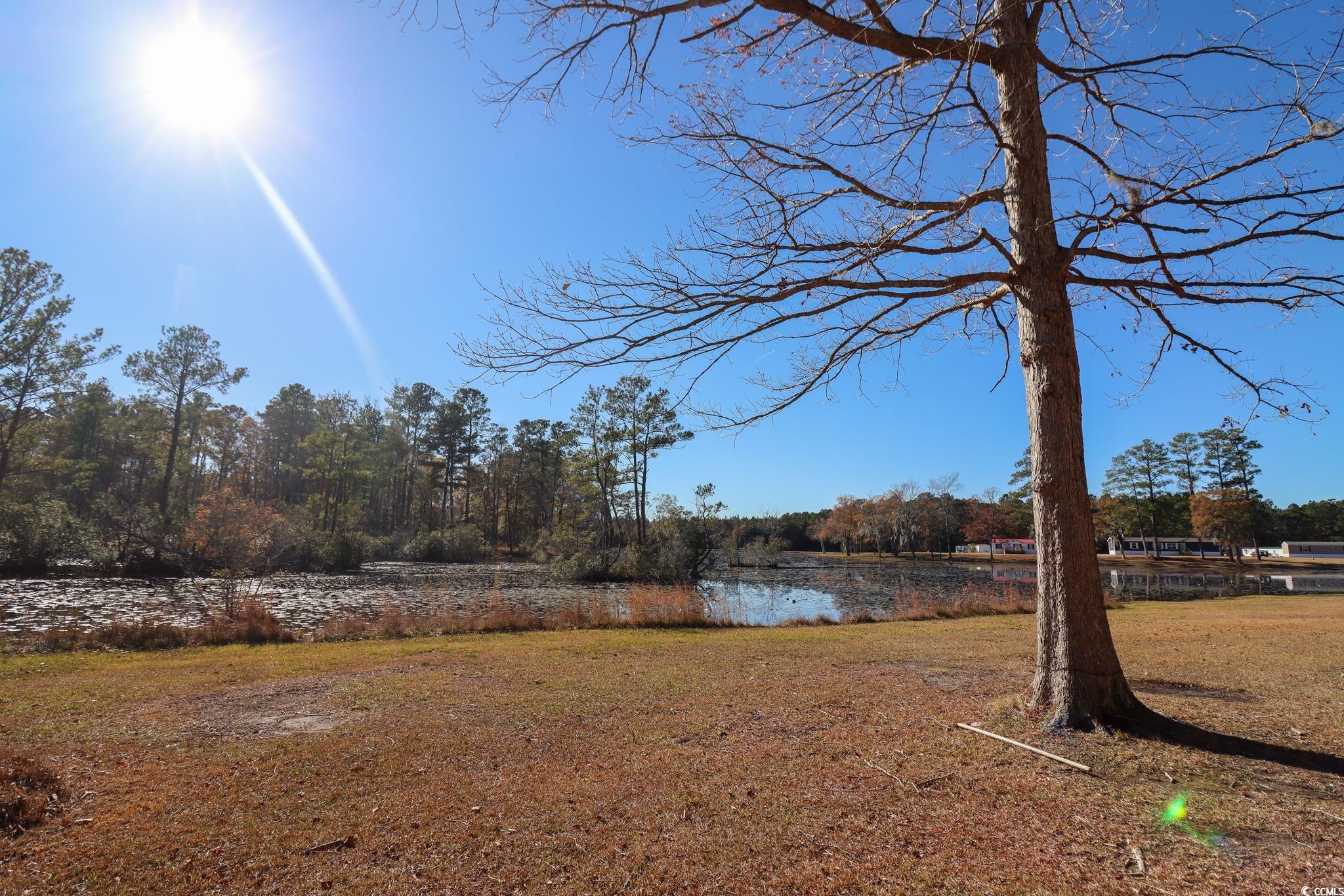 231 Williamson Lake Circle, Conway, South Carolina image 17