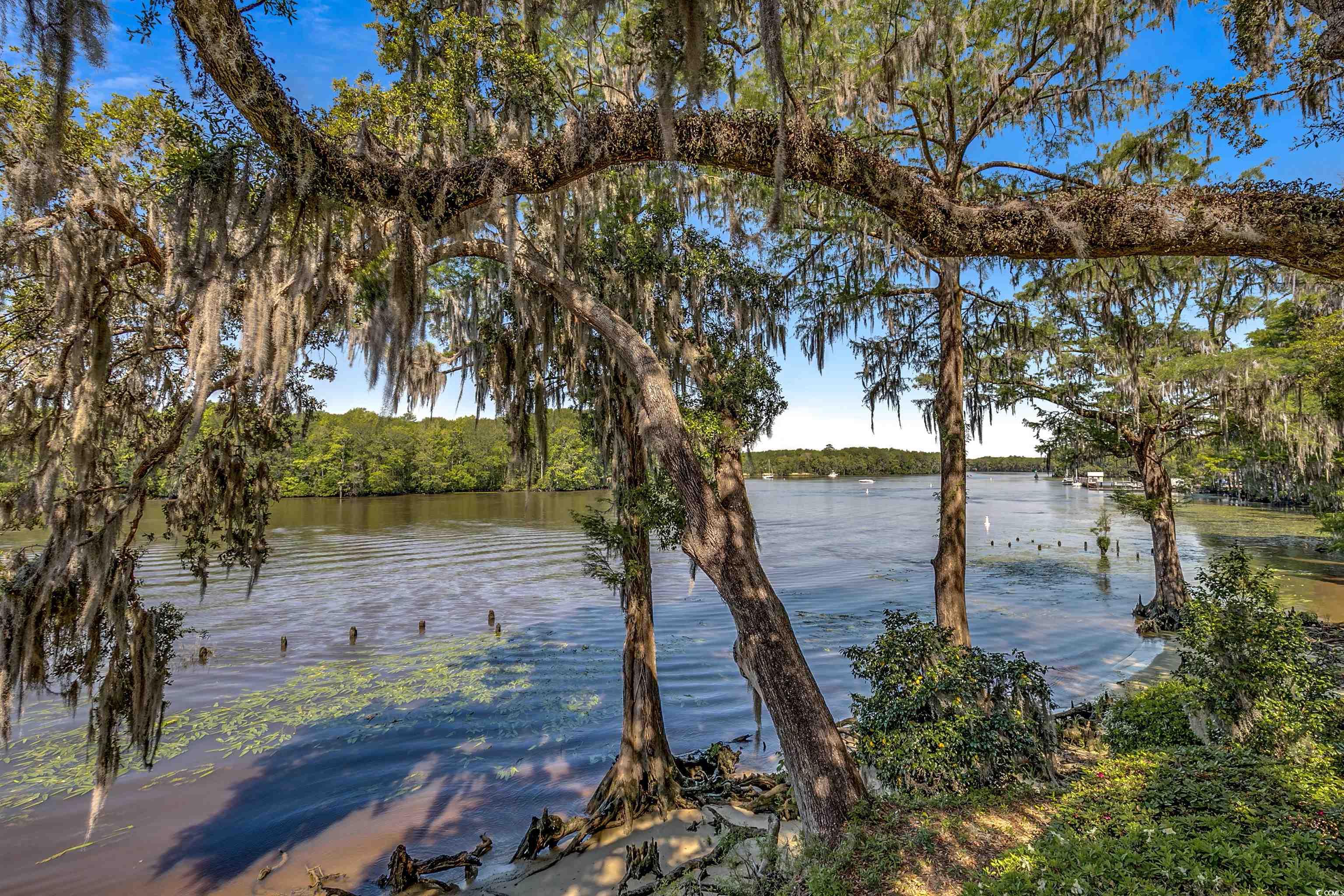 1824 Laurel Trail #1-B, Murrells Inlet, South Carolina image 28