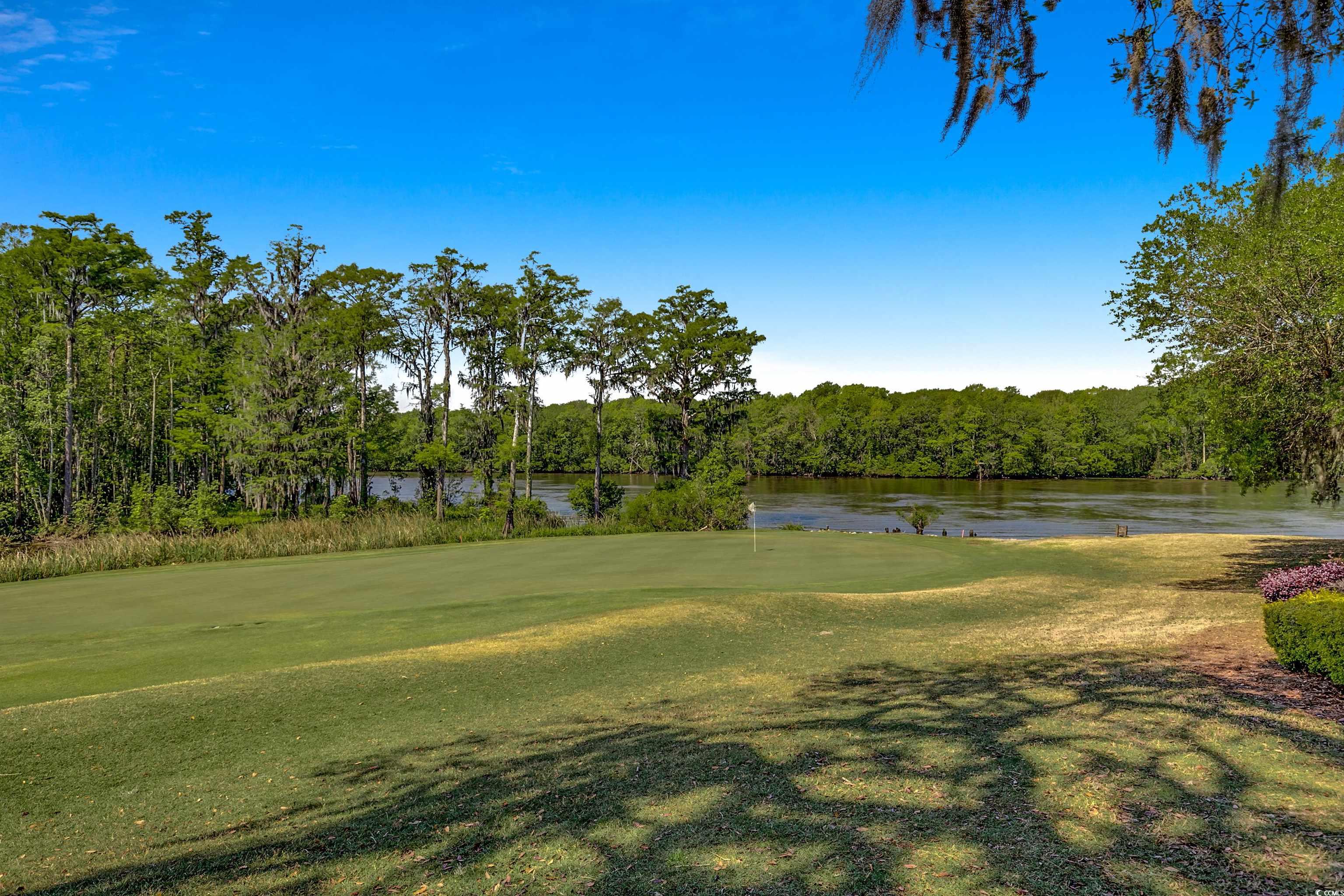 1824 Laurel Trail #1-B, Murrells Inlet, South Carolina image 30