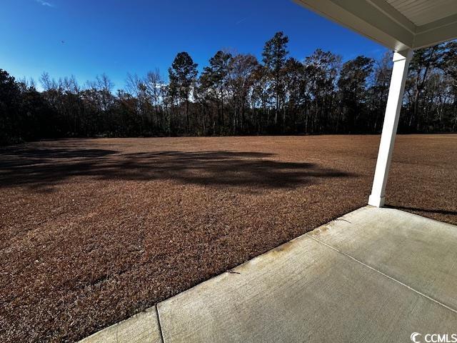 198 Linares St., Loris, South Carolina image 14