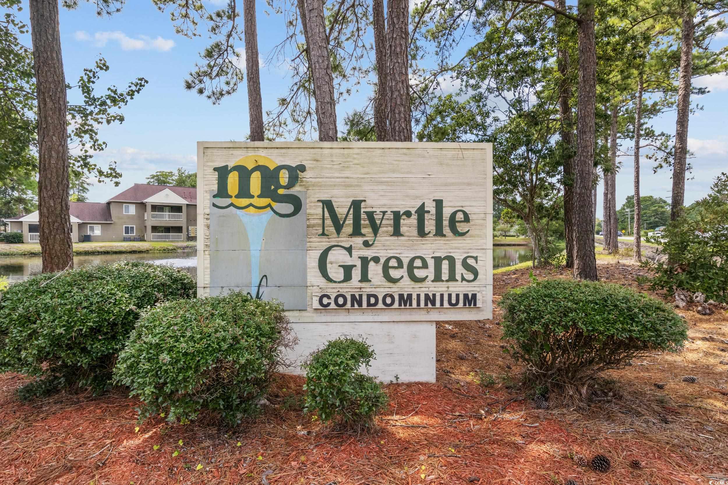 500 Myrtle Greens Dr. #B, Conway, South Carolina image 30