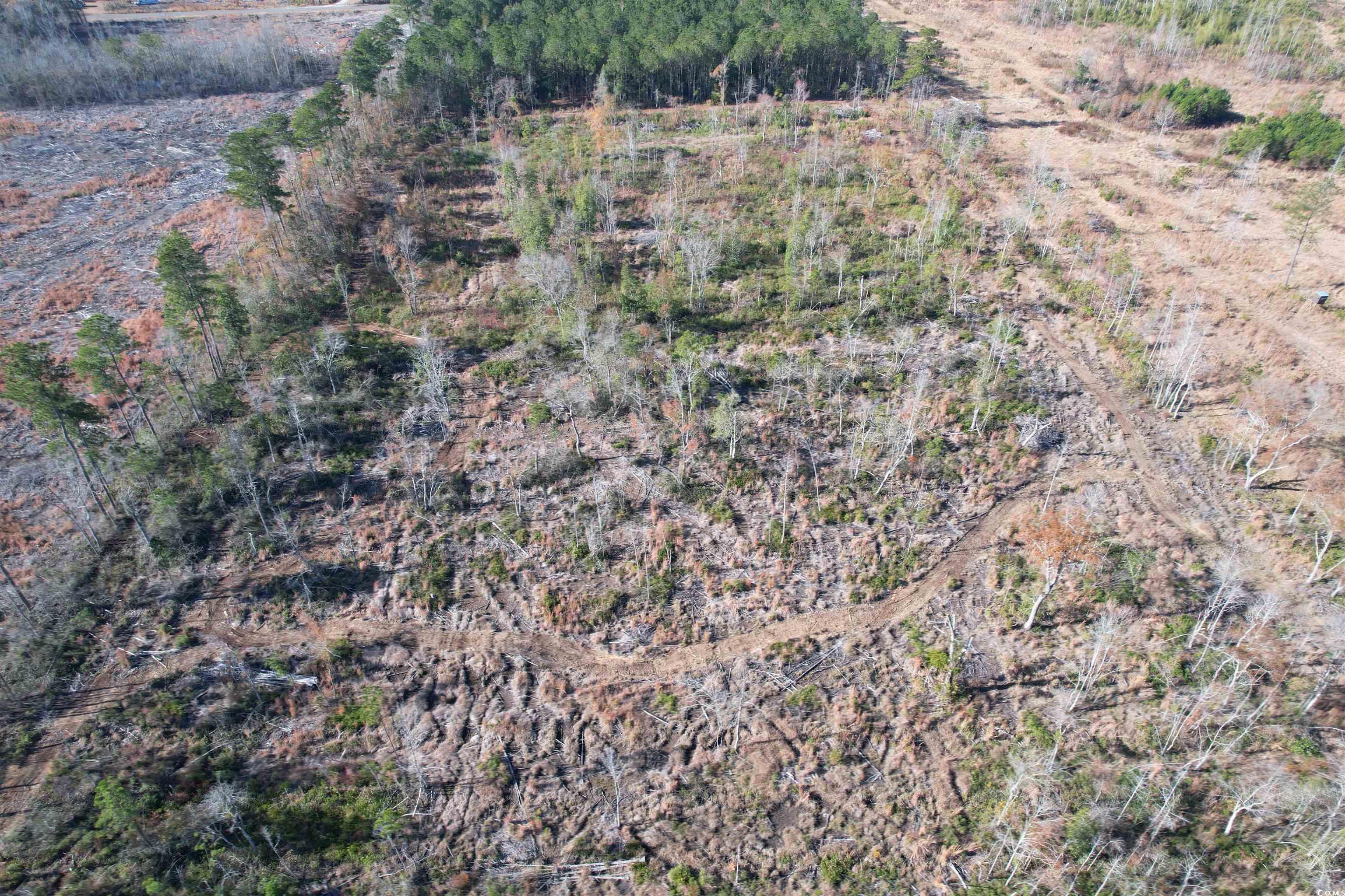 18+/- Acres TBD Epps Rd., New Zion, South Carolina image 10