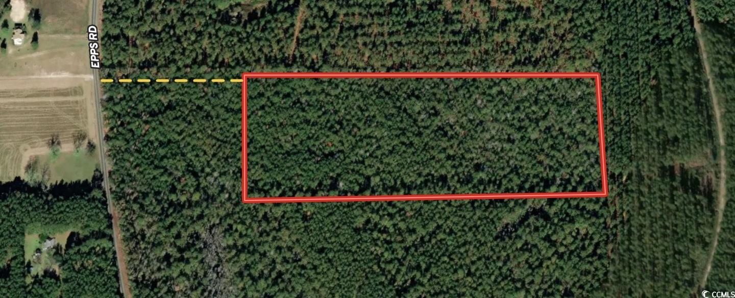 18+/- Acres TBD Epps Rd., New Zion, South Carolina image 11