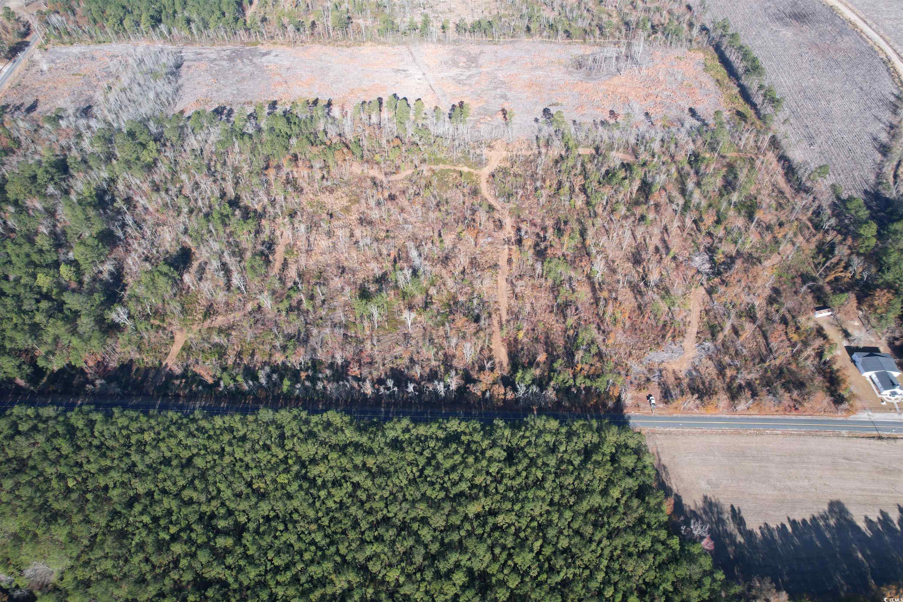 25+/- Acres TBD Corner Rd., New Zion, South Carolina image 10