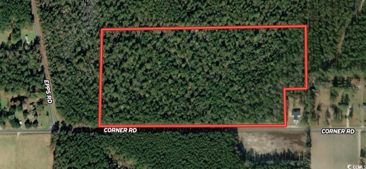 25+/- Acres TBD Corner Rd., New Zion, South Carolina image 13