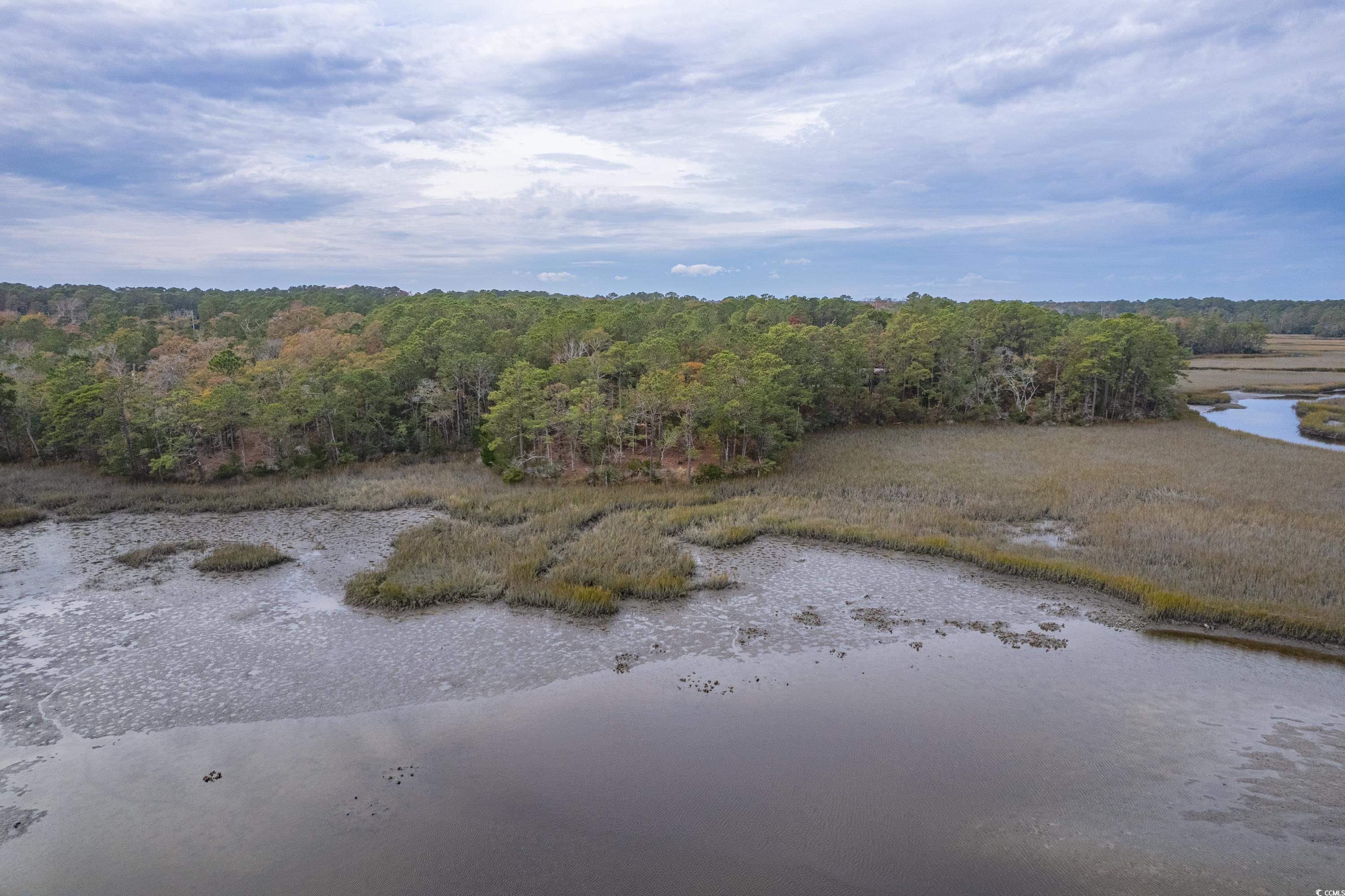 Tract 2 Log Landing Rd Sw, Shallotte, North Carolina image 19