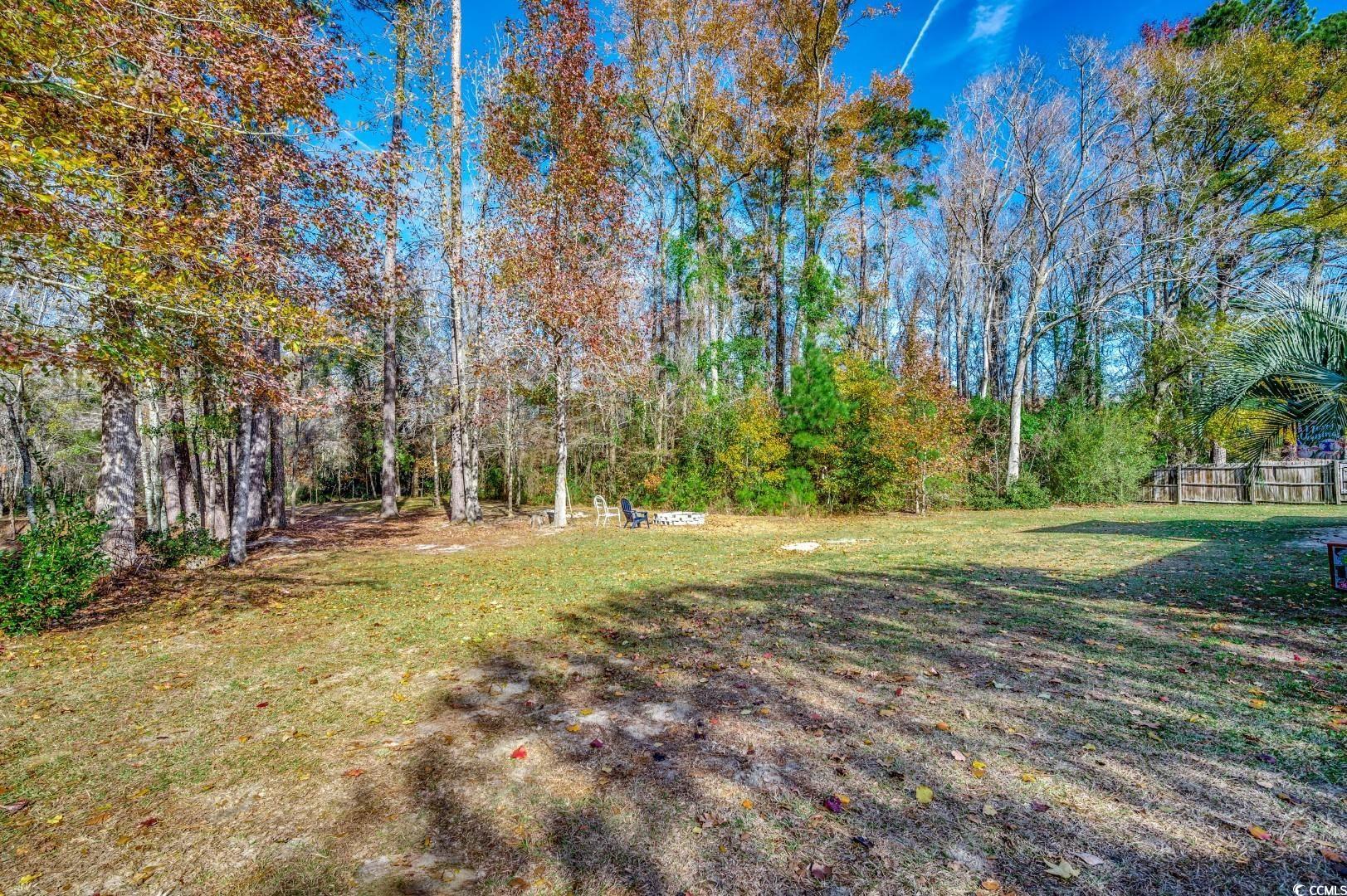 2340 Cane Branch Rd., Loris, South Carolina image 33