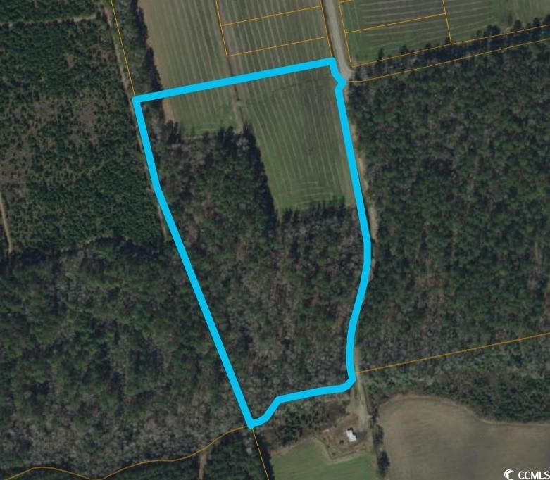 TBD Hughes Gasque Rd. Aynor, SC 29511
