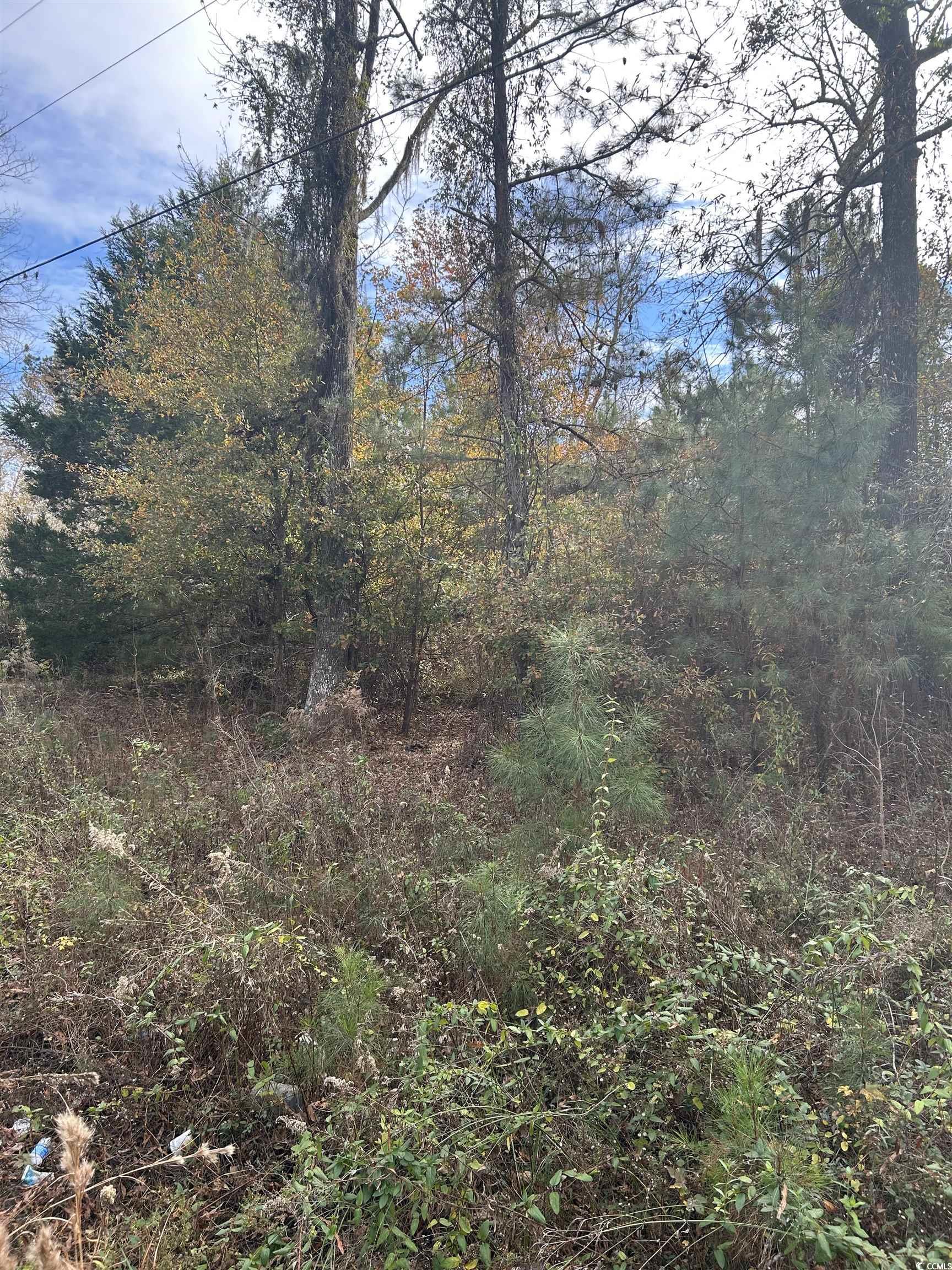 89 Jerusalem Dr. Kingstree, SD 29556