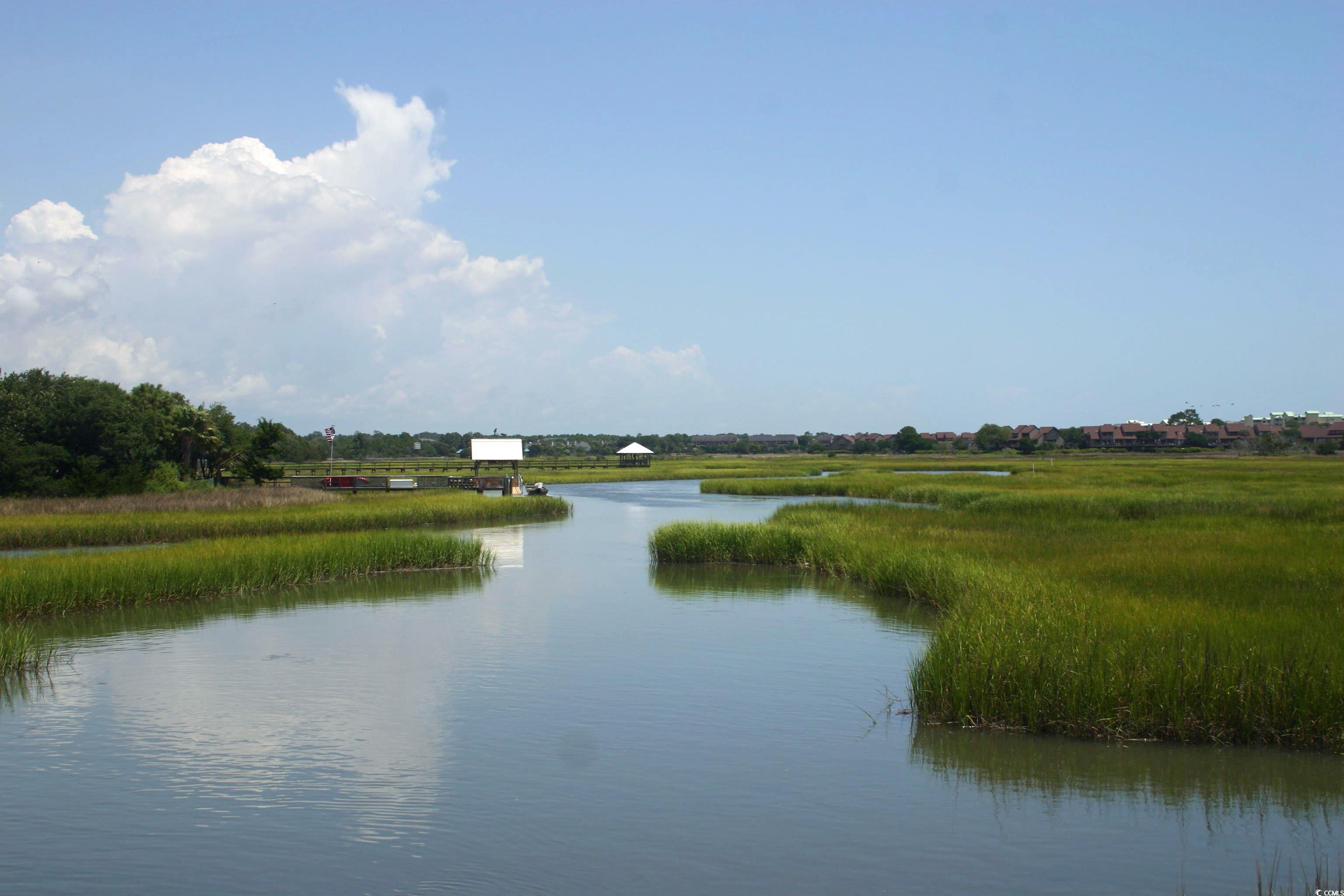 125 Knight Circle #2, Pawleys Island, South Carolina image 29