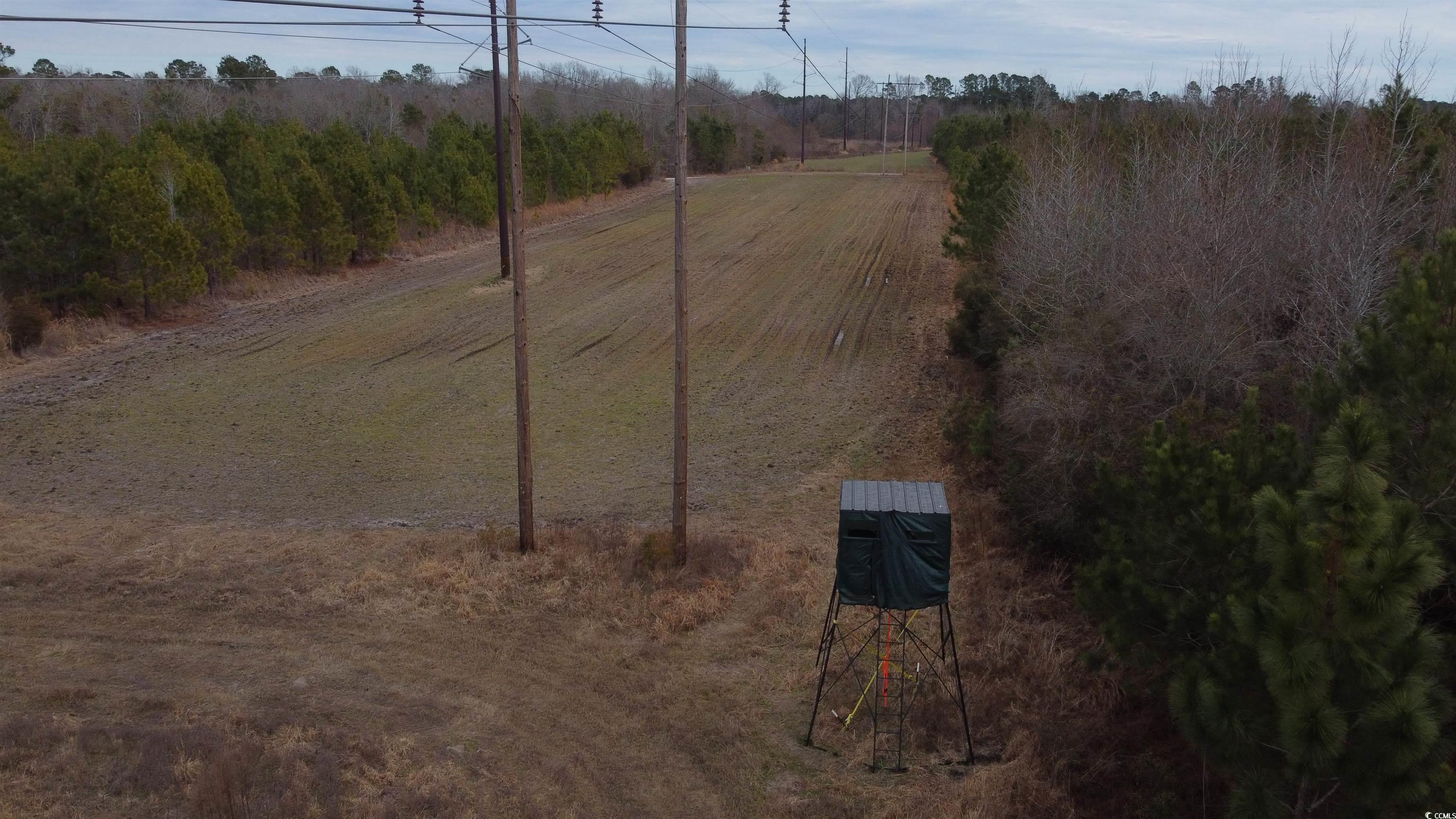 TBD Sand Plant Rd., Nichols, South Carolina image 1