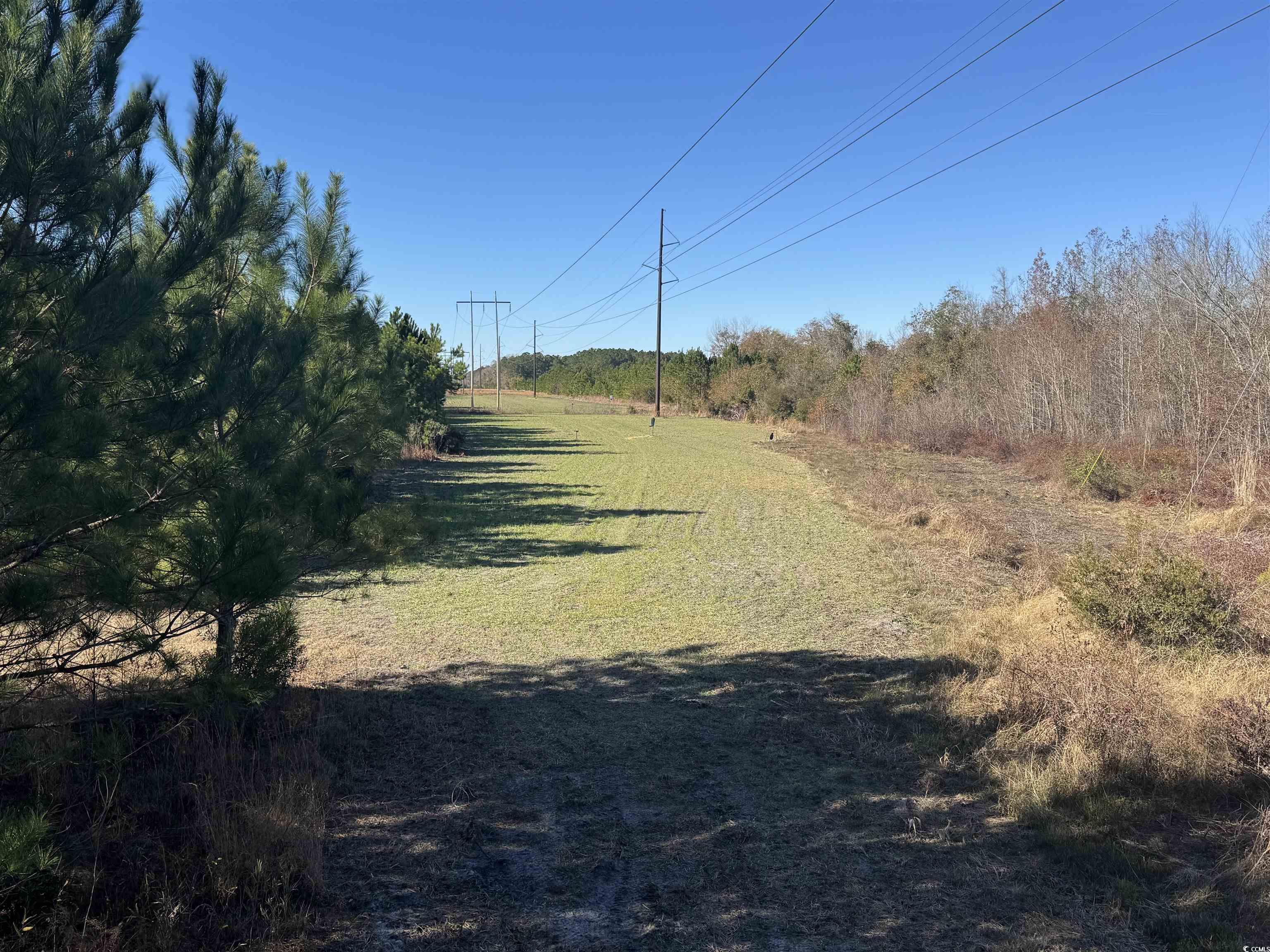 TBD Sand Plant Rd., Nichols, South Carolina image 10