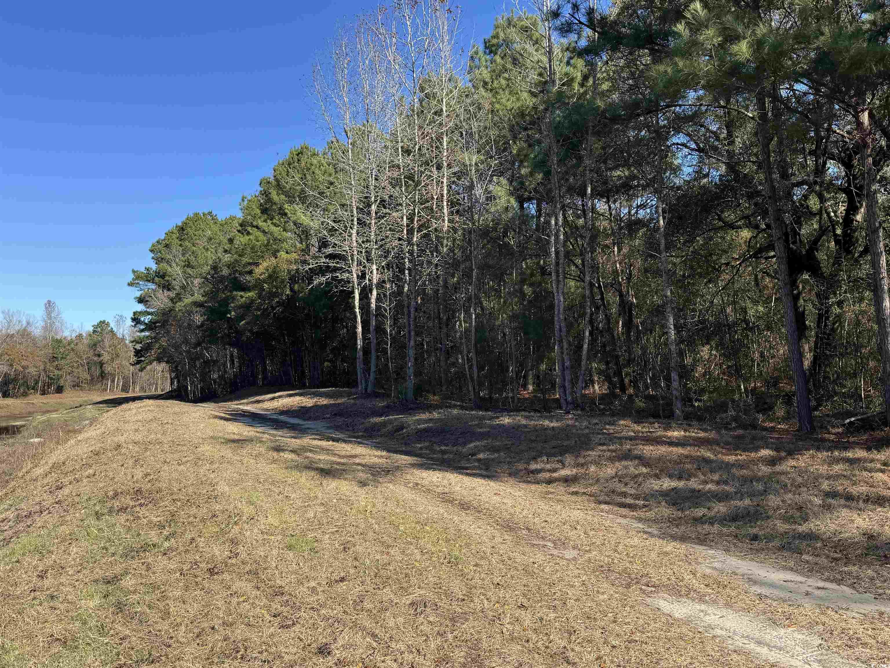 TBD Sand Plant Rd., Nichols, South Carolina image 11