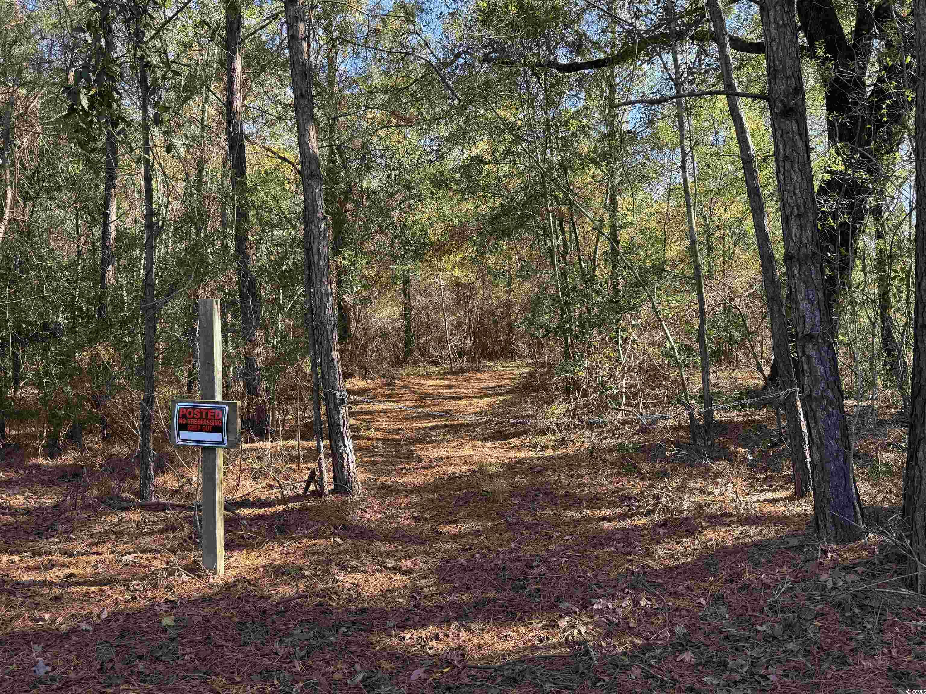 TBD Sand Plant Rd., Nichols, South Carolina image 12