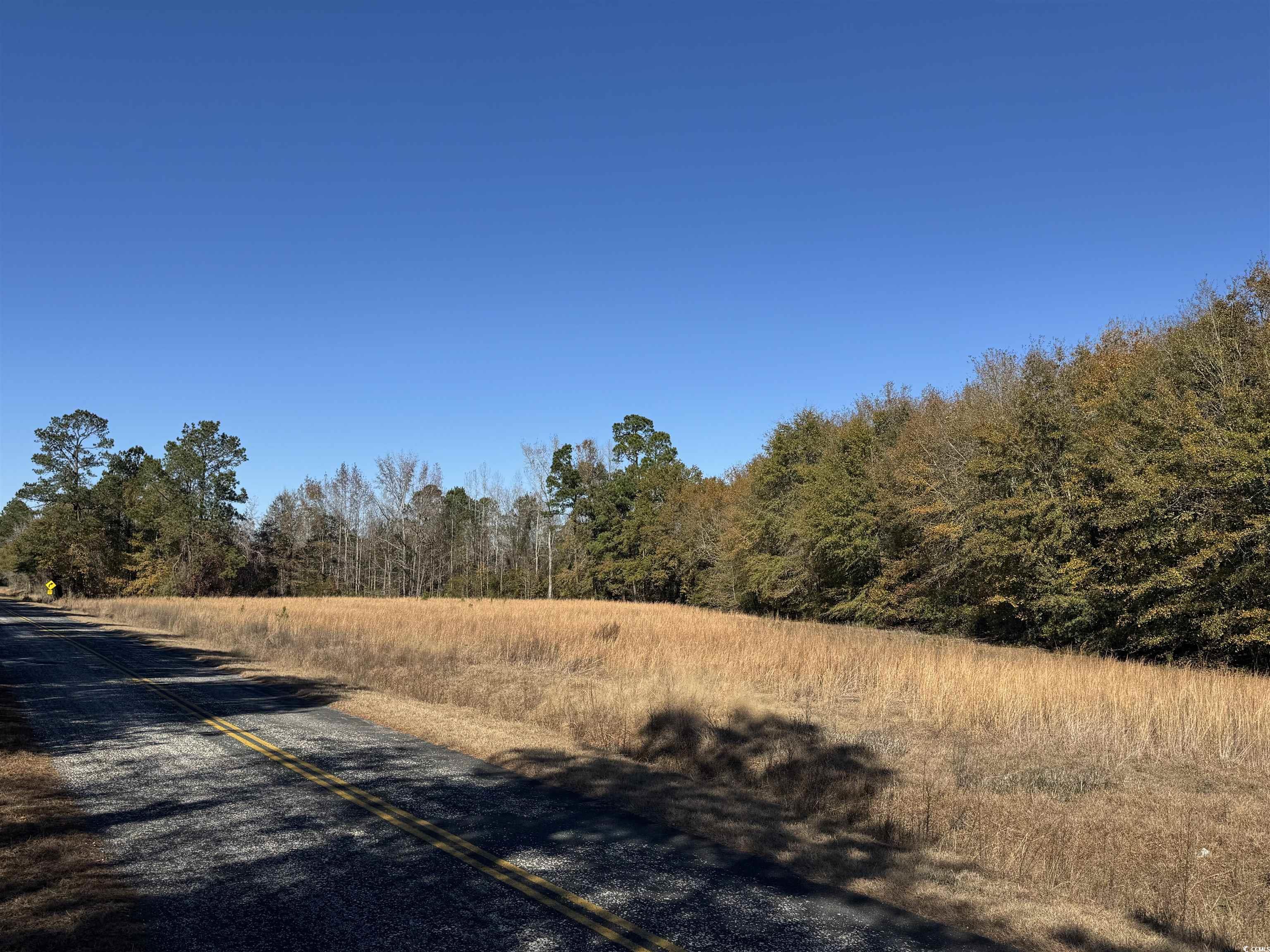 TBD Sand Plant Rd., Nichols, South Carolina image 4