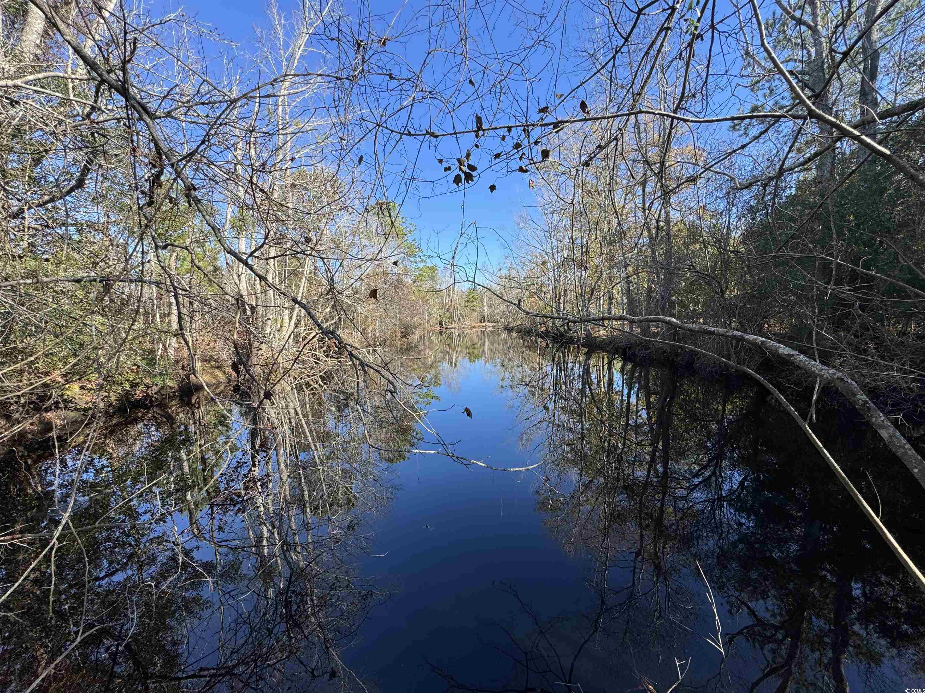 TBD Sand Plant Rd., Nichols, South Carolina image 7