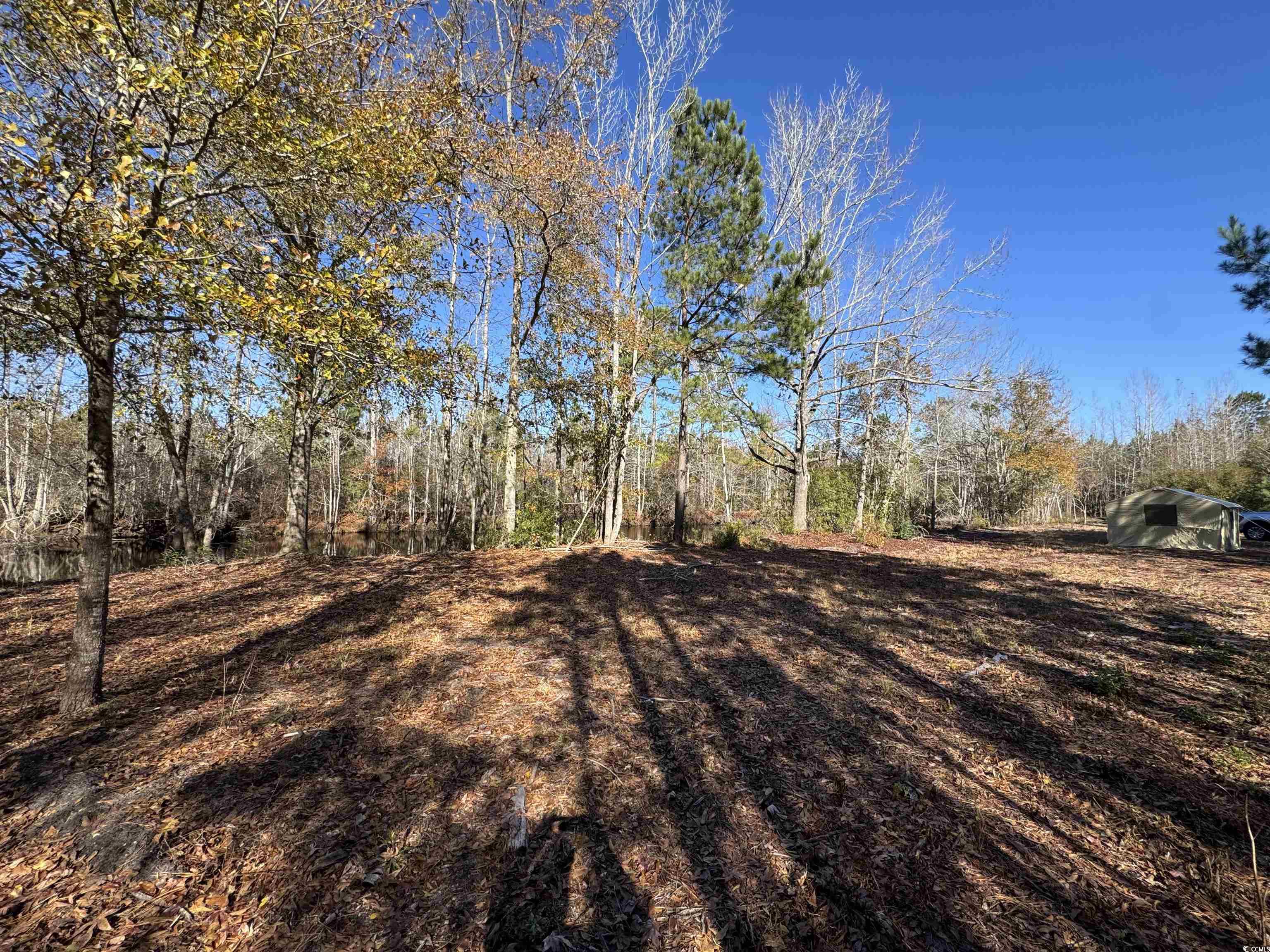 TBD Sand Plant Rd., Nichols, South Carolina image 8