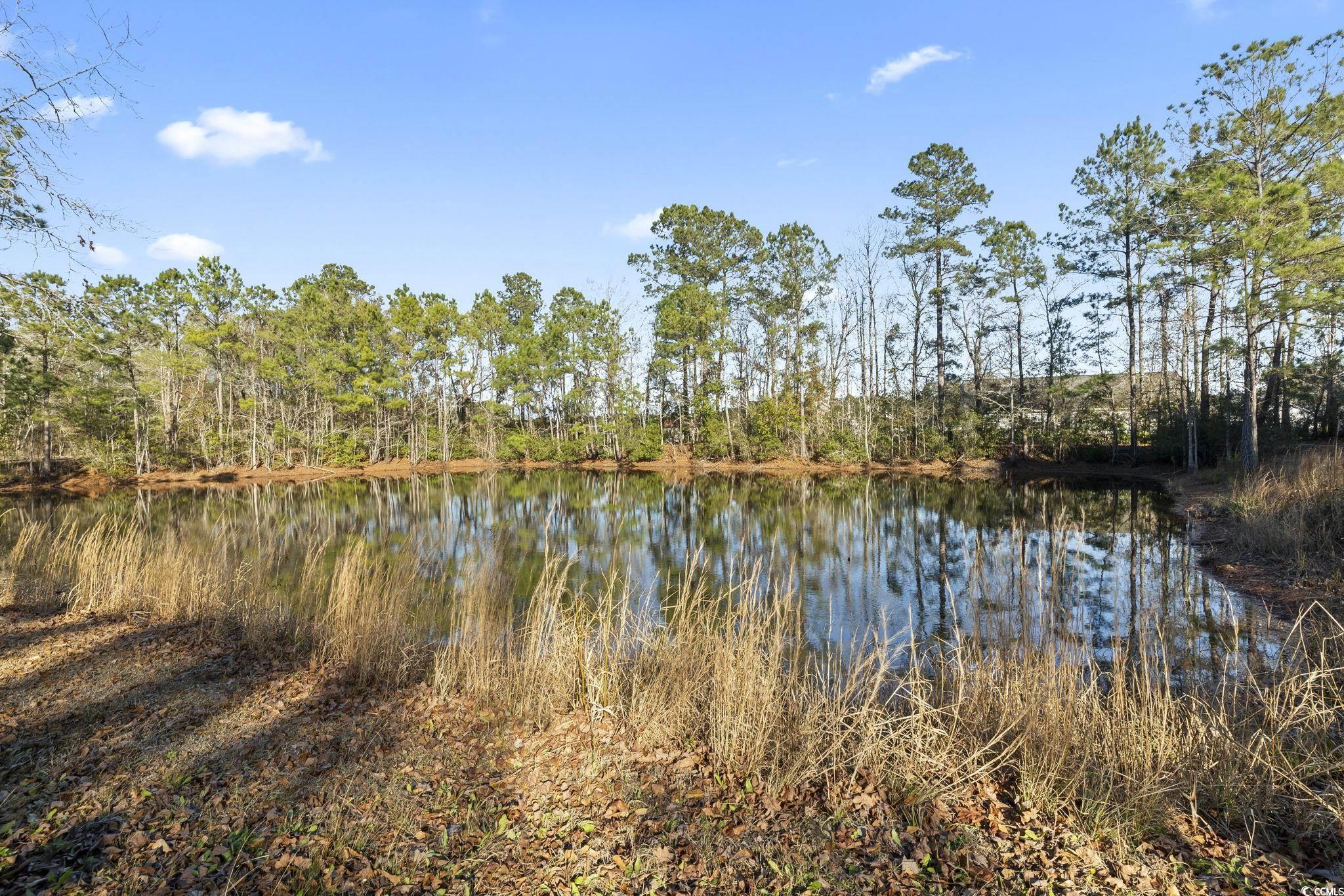 149 Juniper Ridge Rd., Conway, South Carolina image 2