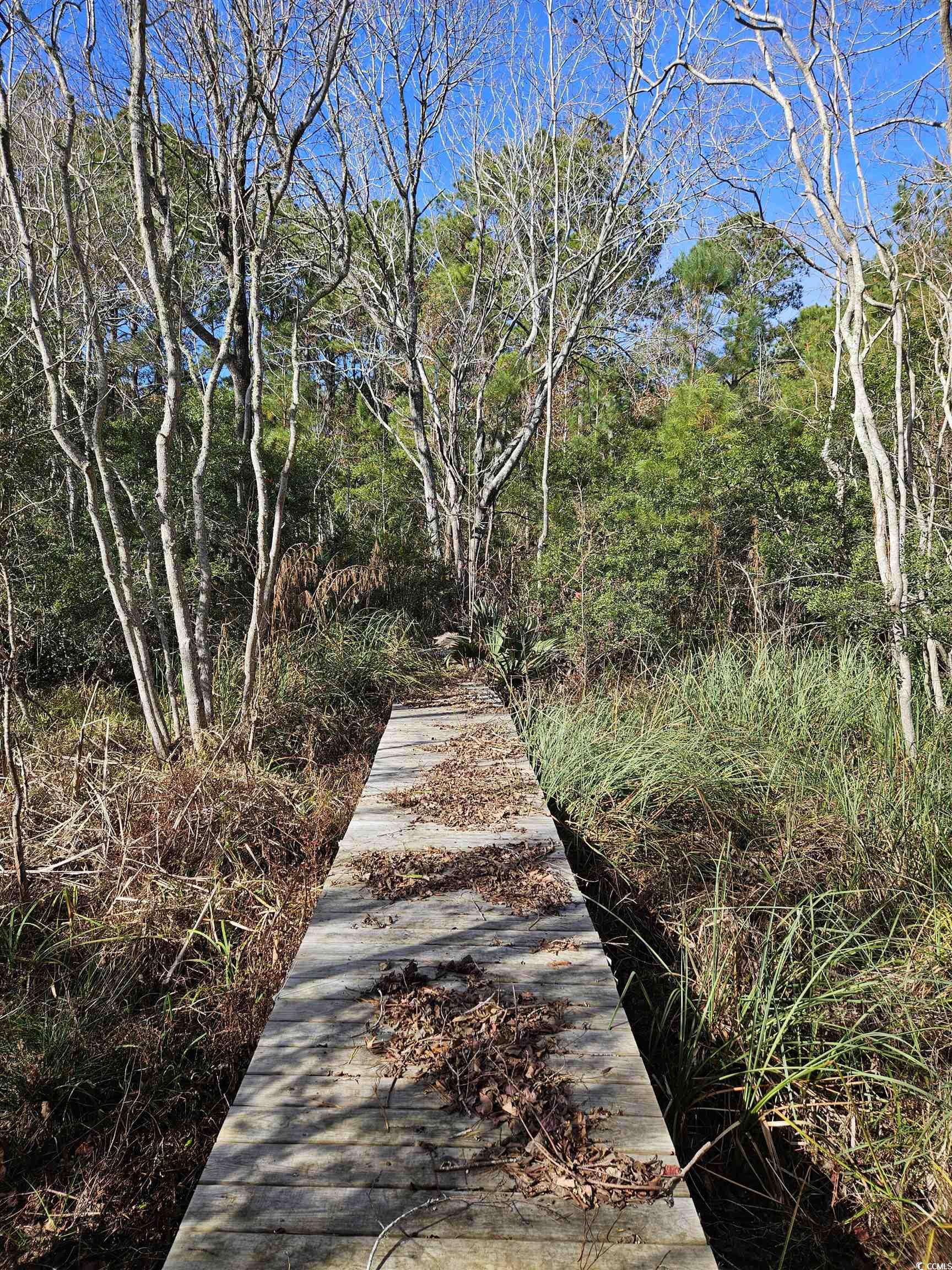 2670 Vanderbilt Blvd., Pawleys Island, South Carolina image 6