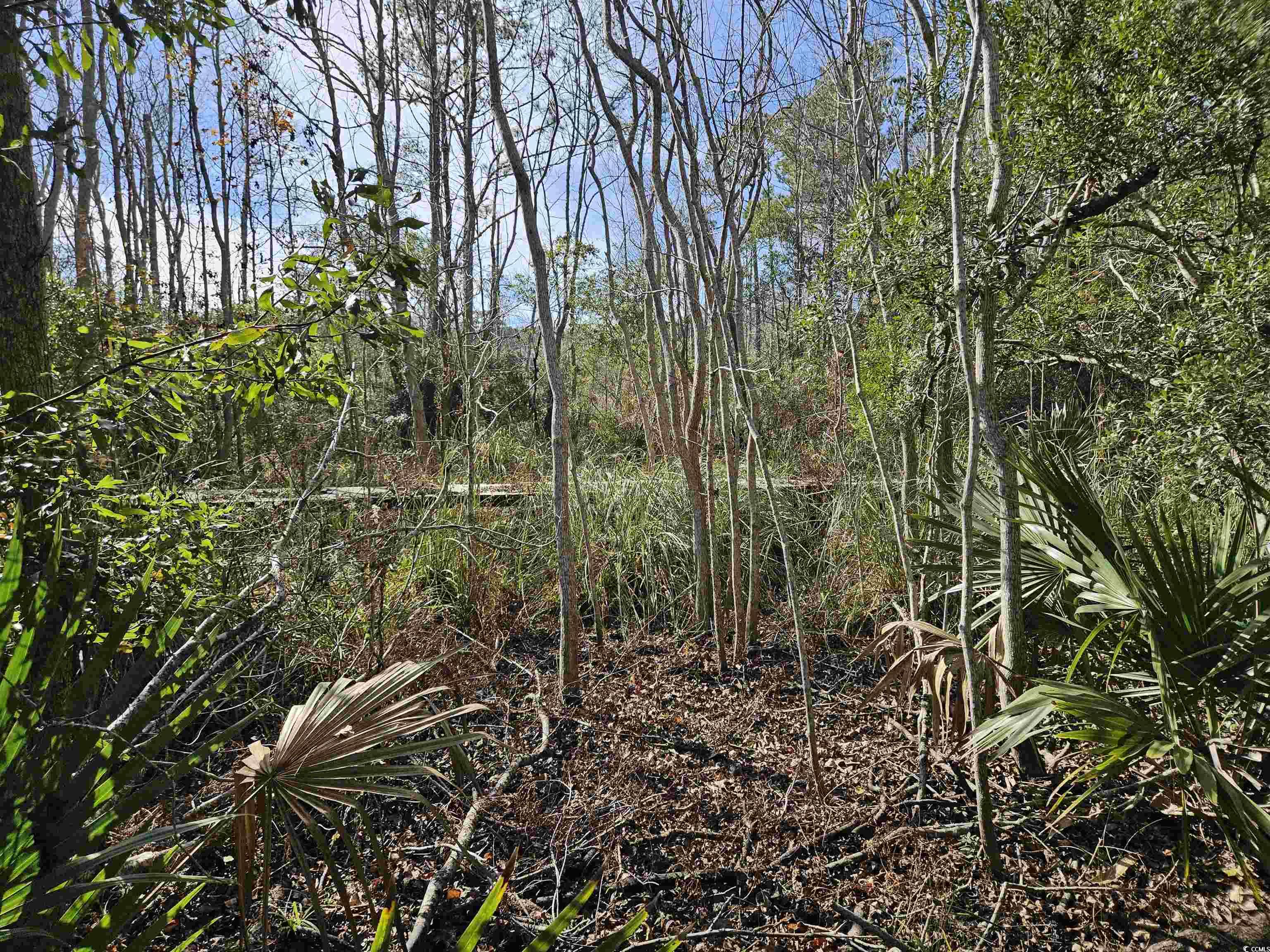 2670 Vanderbilt Blvd., Pawleys Island, South Carolina image 7