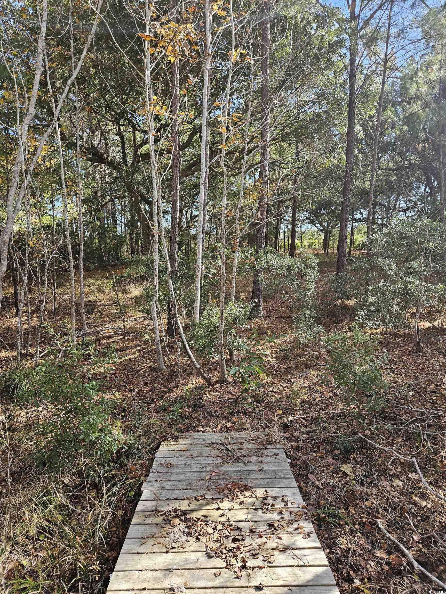 2670 Vanderbilt Blvd., Pawleys Island, South Carolina image 8