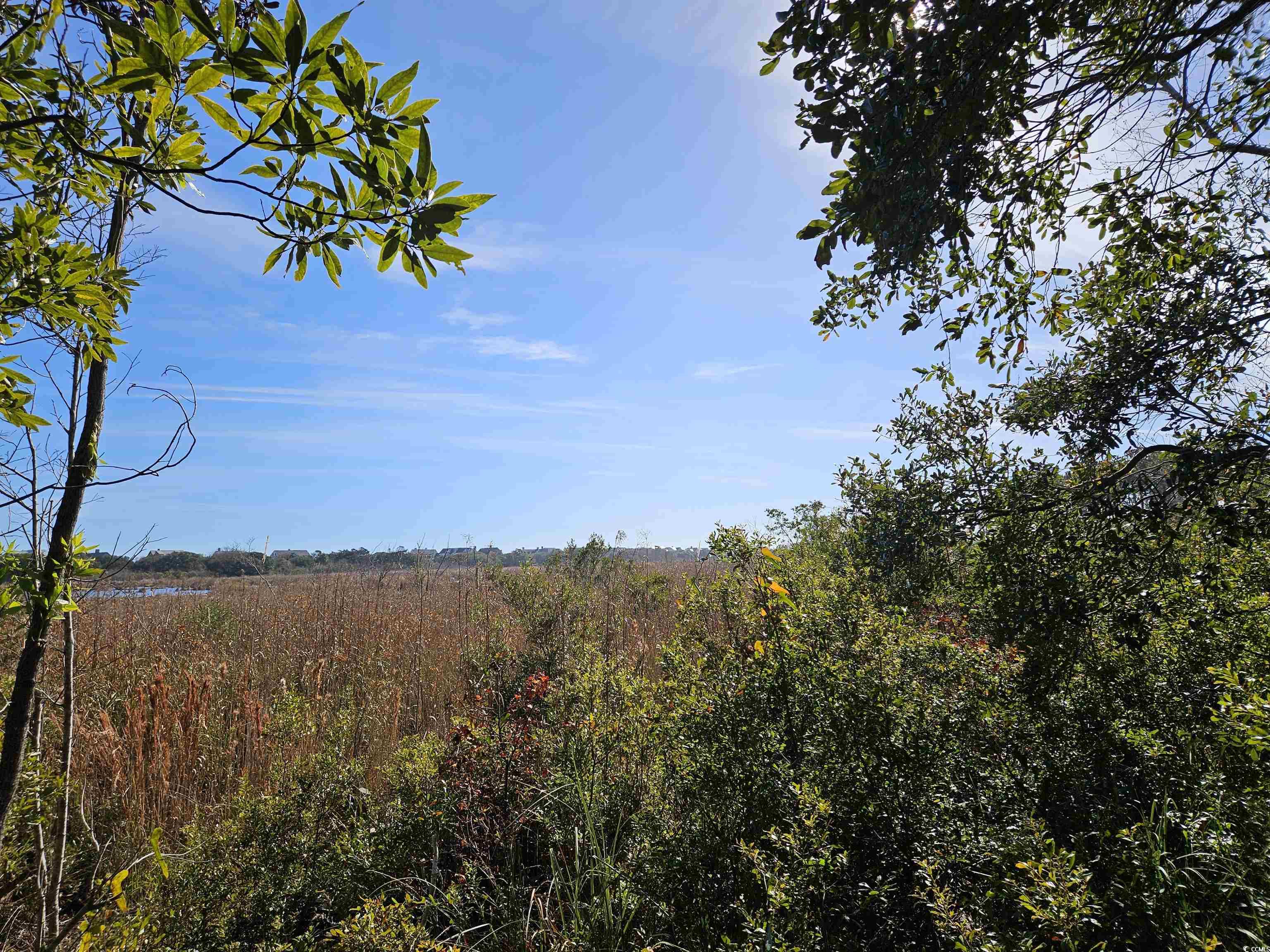 2670 Vanderbilt Blvd., Pawleys Island, South Carolina image 9