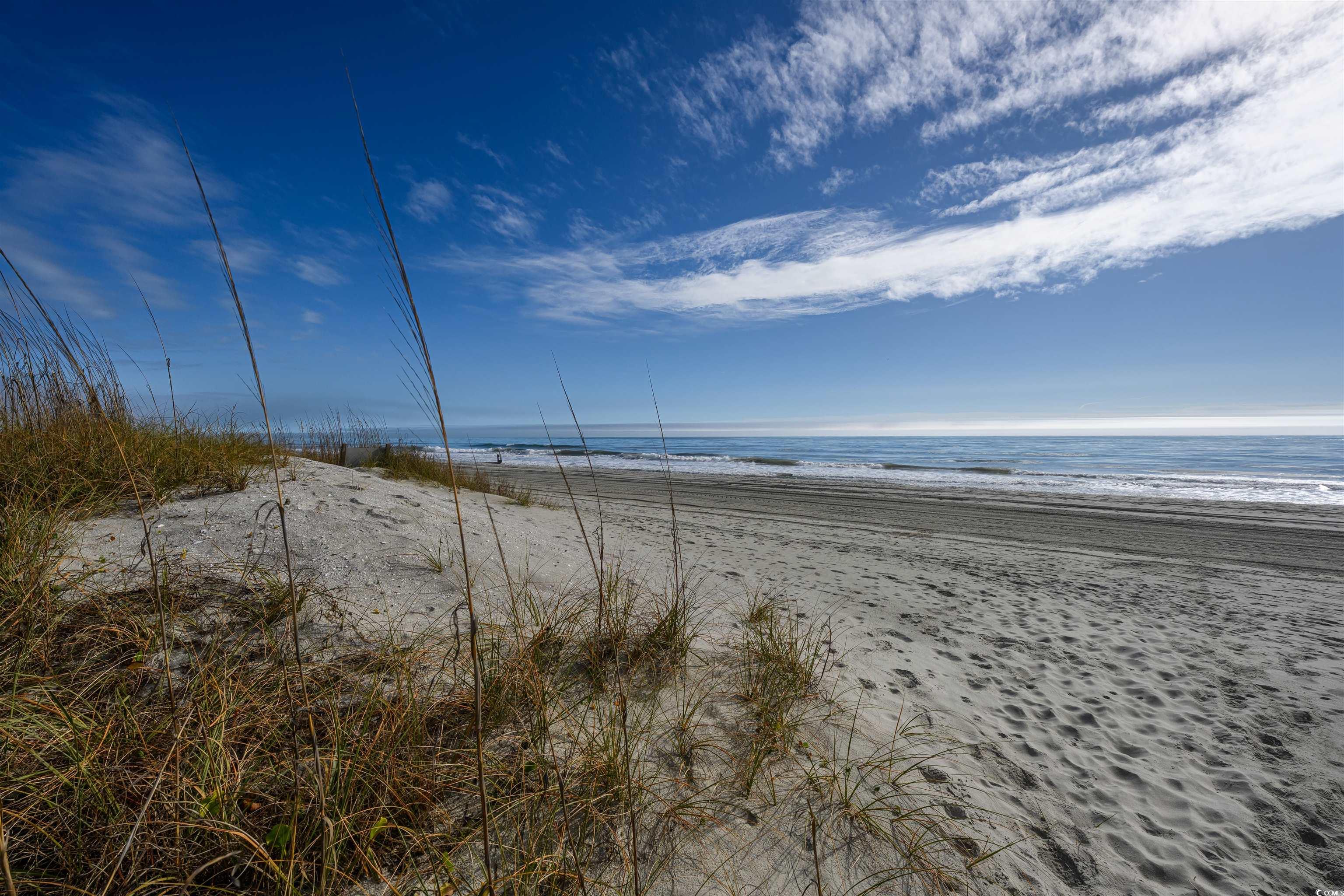 3217 S Ocean Blvd. #305, North Myrtle Beach, South Carolina image 26