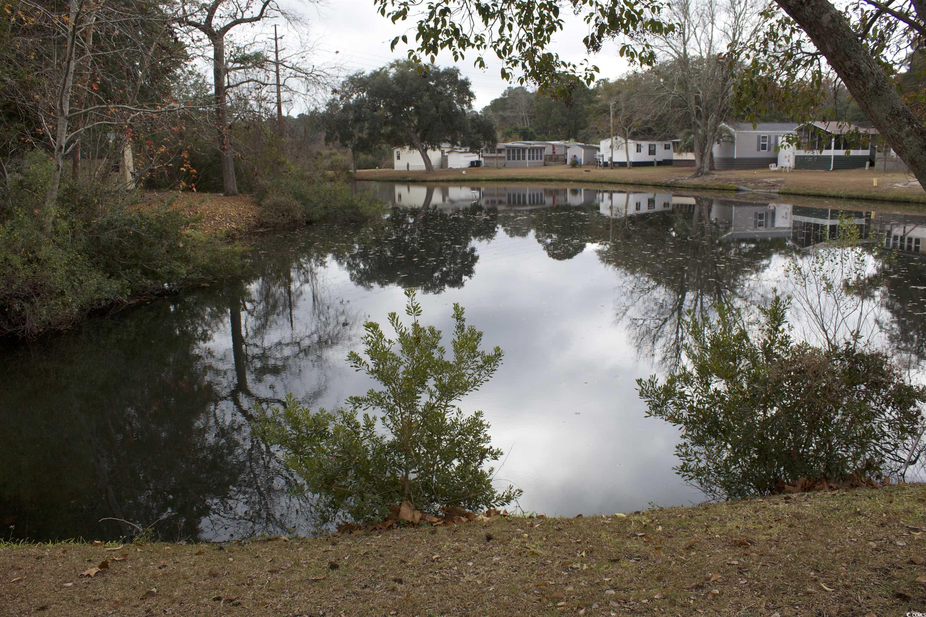 49 Burr Circle, Murrells Inlet, South Carolina image 10