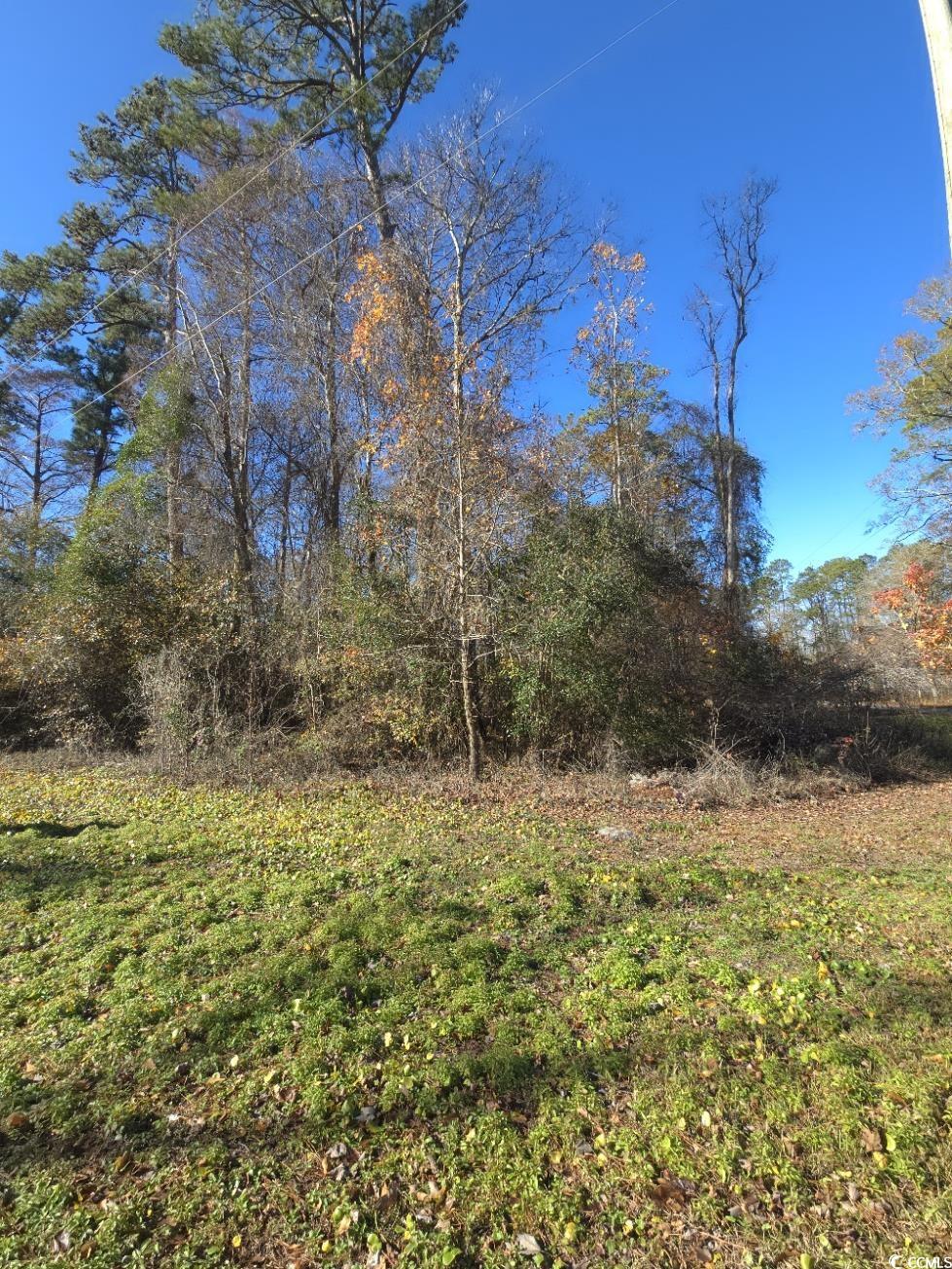 TBD Mill Creek Rd. Myrtle Beach, SC 29588