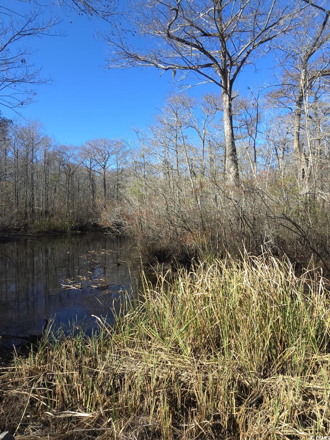 TBD Mill Creek Rd., Myrtle Beach, South Carolina image 4