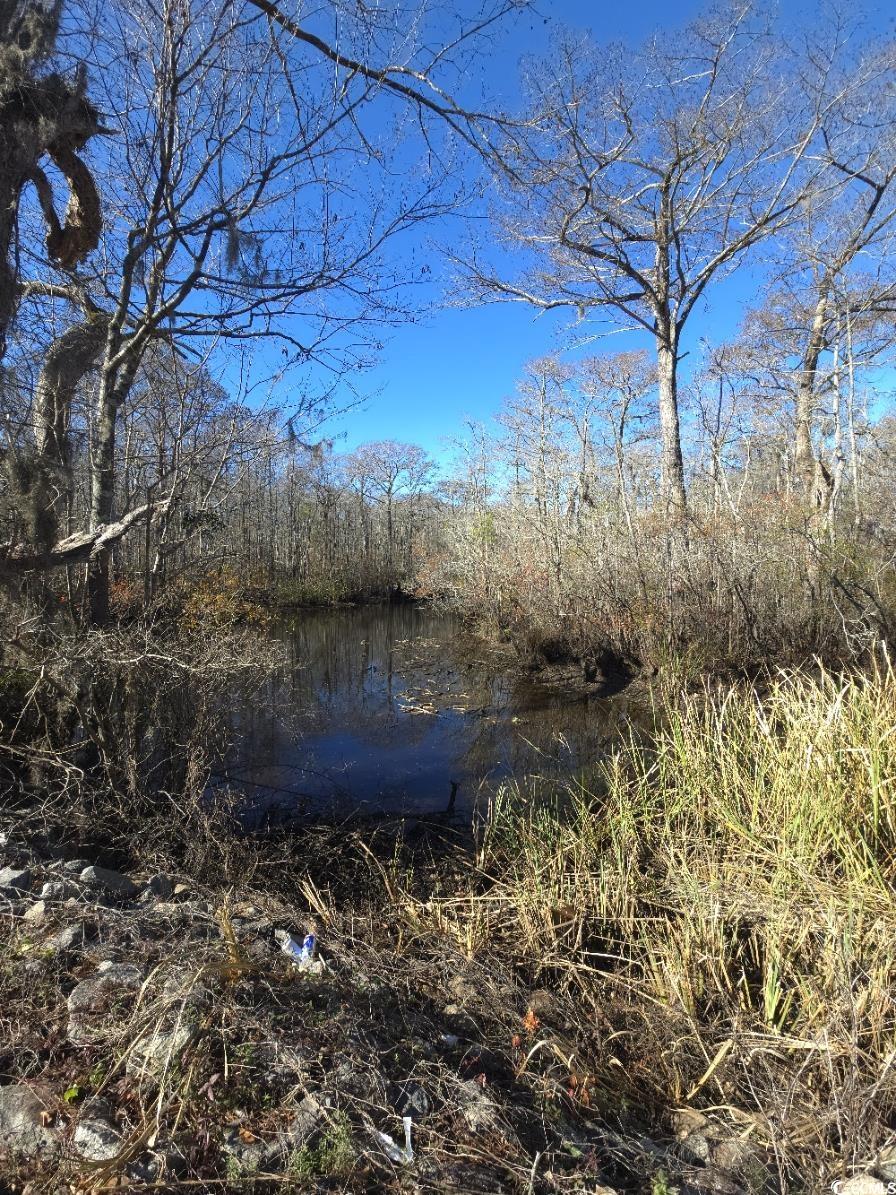 TBD Mill Creek Rd., Myrtle Beach, South Carolina image 5