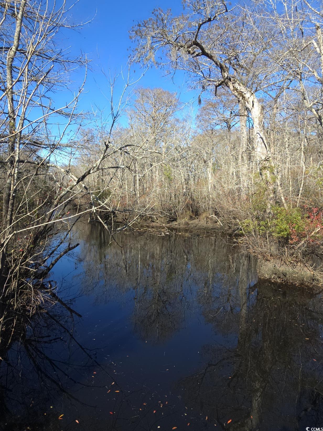 TBD Mill Creek Rd., Myrtle Beach, South Carolina image 6