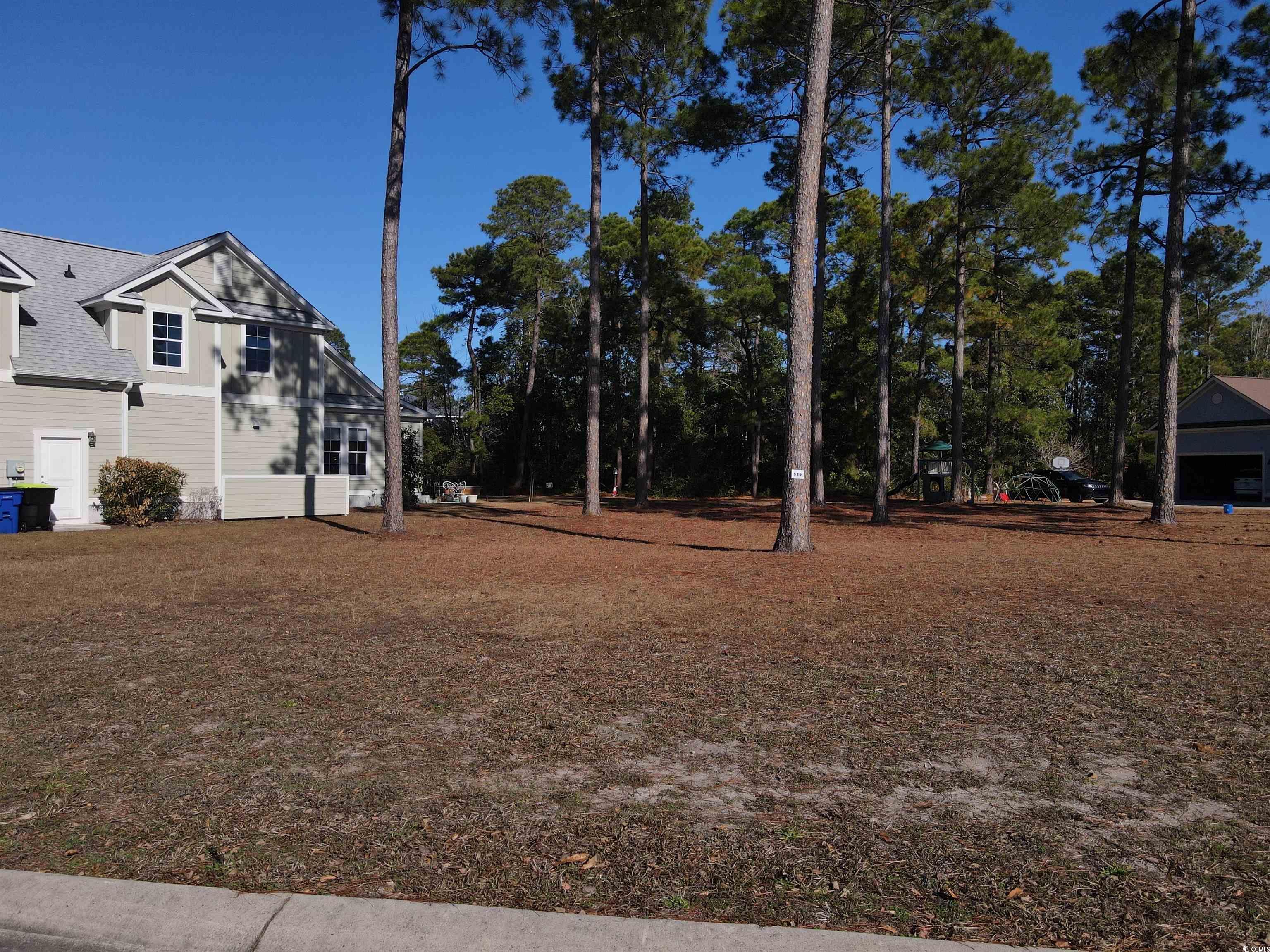 1058 Fiddlehead Way Myrtle Beach, SC 29579