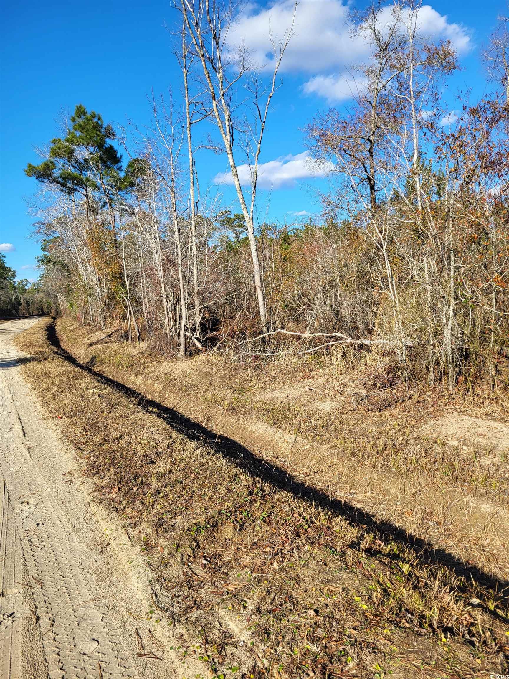 TBD 1 Half Pint Rd., Longs, South Carolina image 3