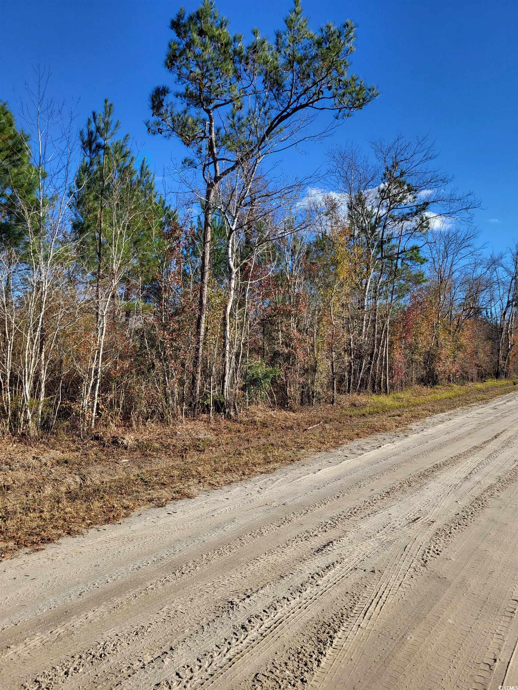 TBD 1 Half Pint Rd., Longs, South Carolina image 4