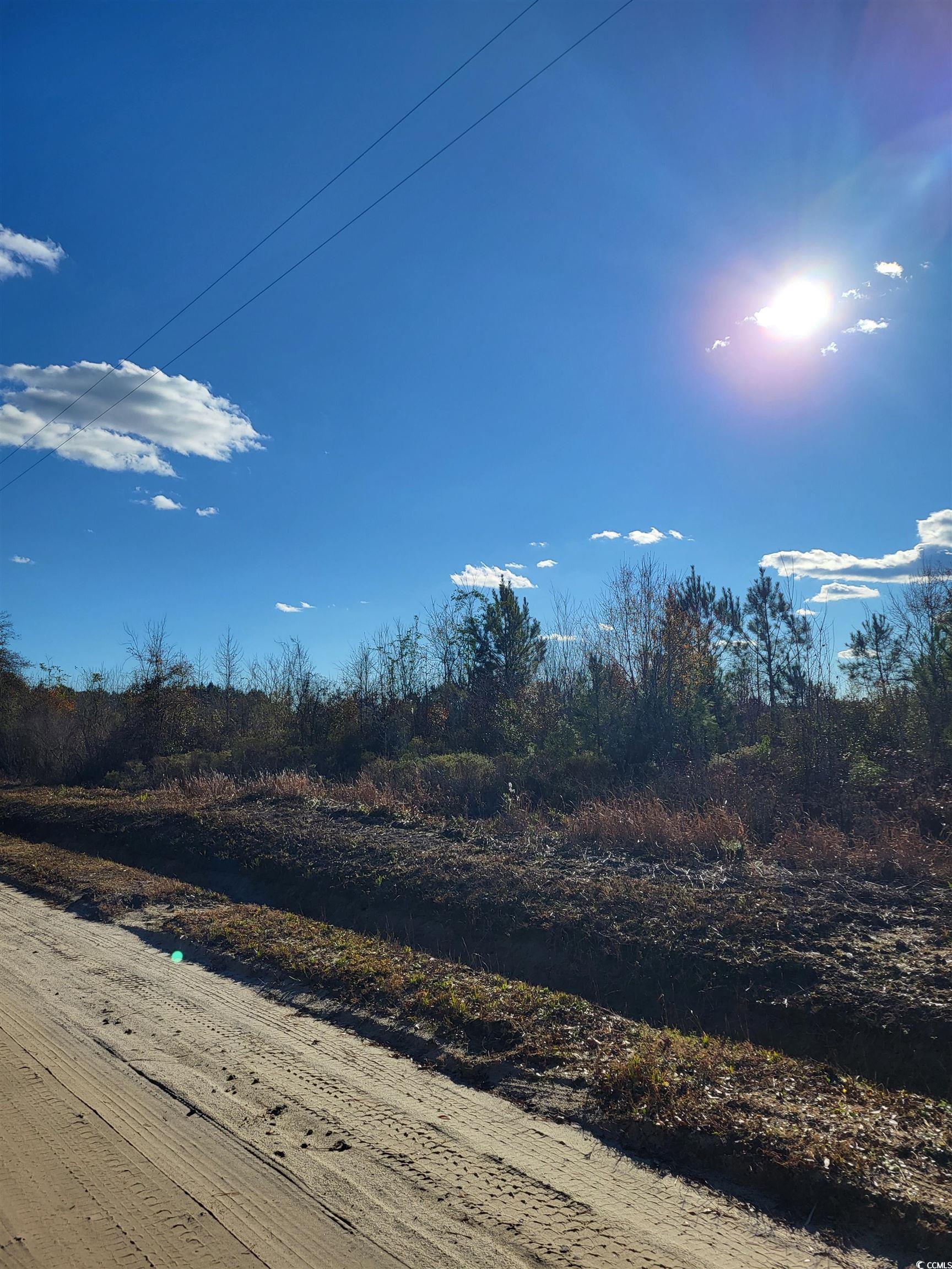 TBD 1 Half Pint Rd., Longs, South Carolina image 5