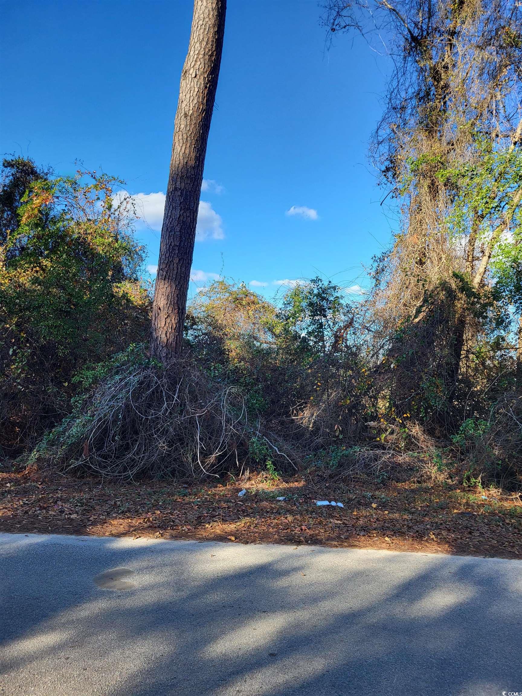 TBD 1 Half Pint Rd., Longs, South Carolina image 7