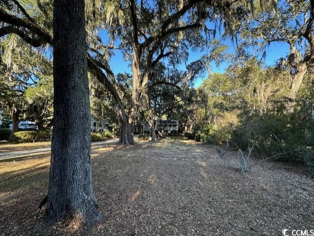 187 Alston Rd., Pawleys Island, South Carolina image 10