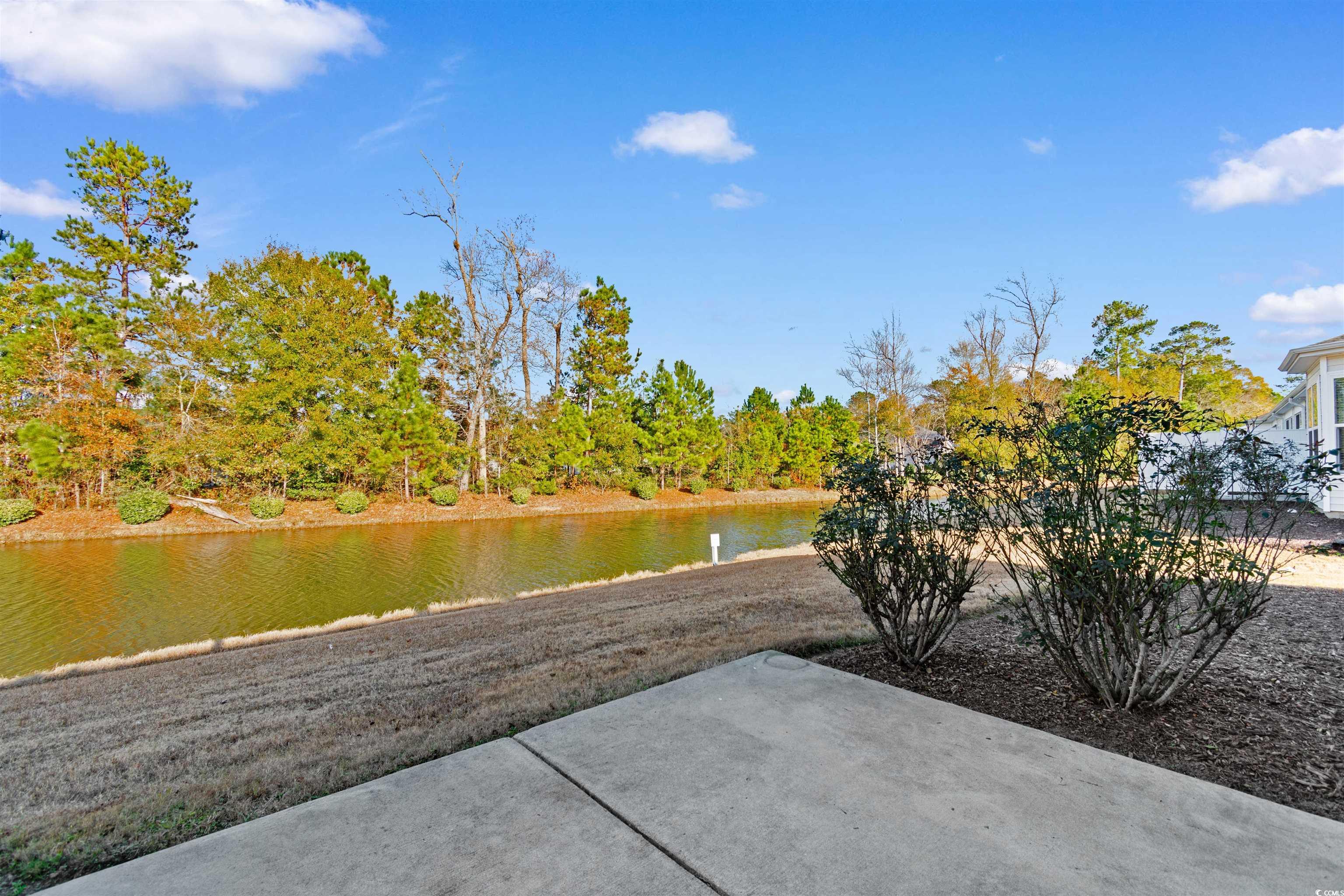 1541 Palmina Loop #D, Myrtle Beach, South Carolina image 34