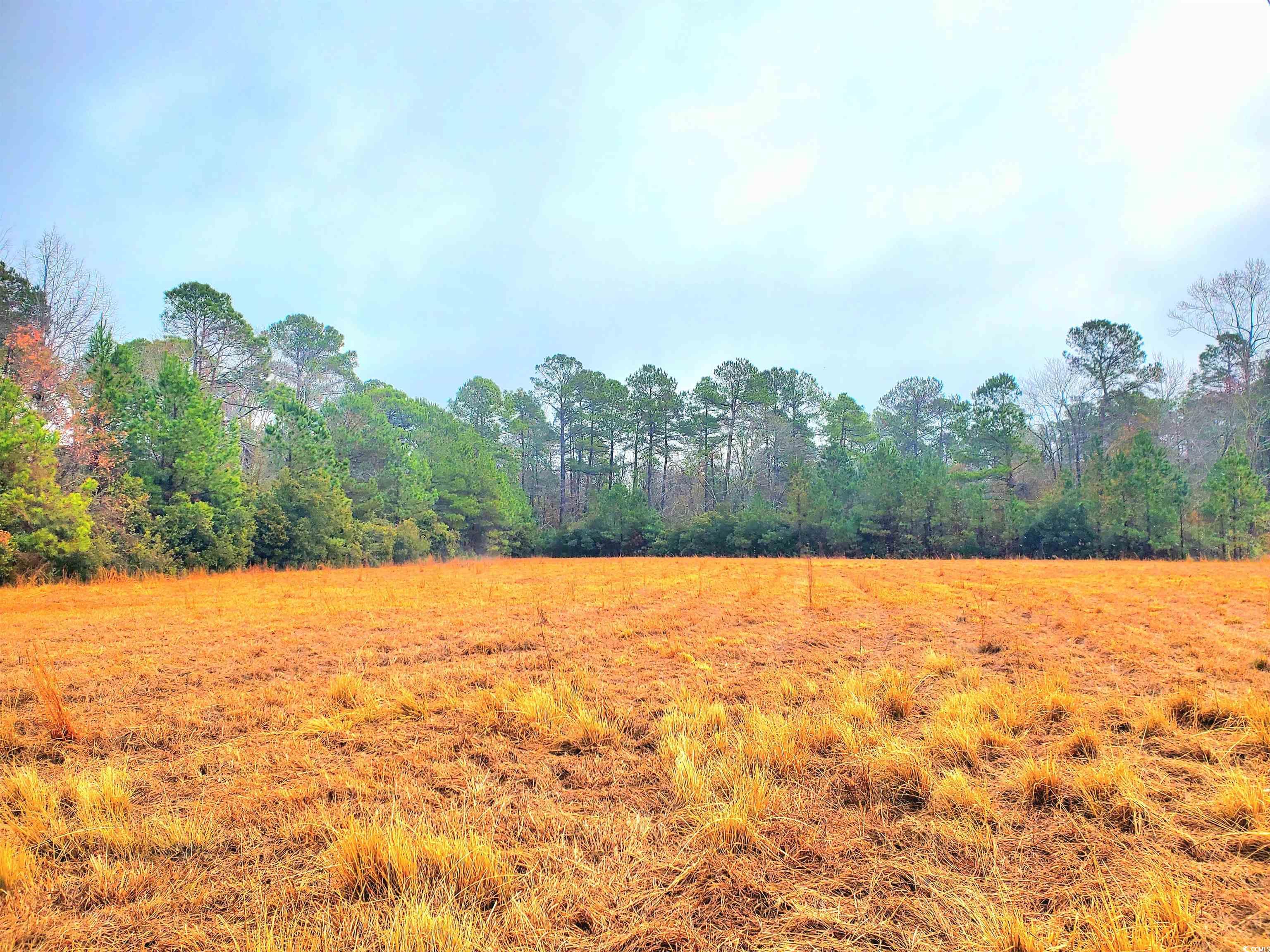 1099 Bonnie Bay Rd., Loris, South Carolina image 25