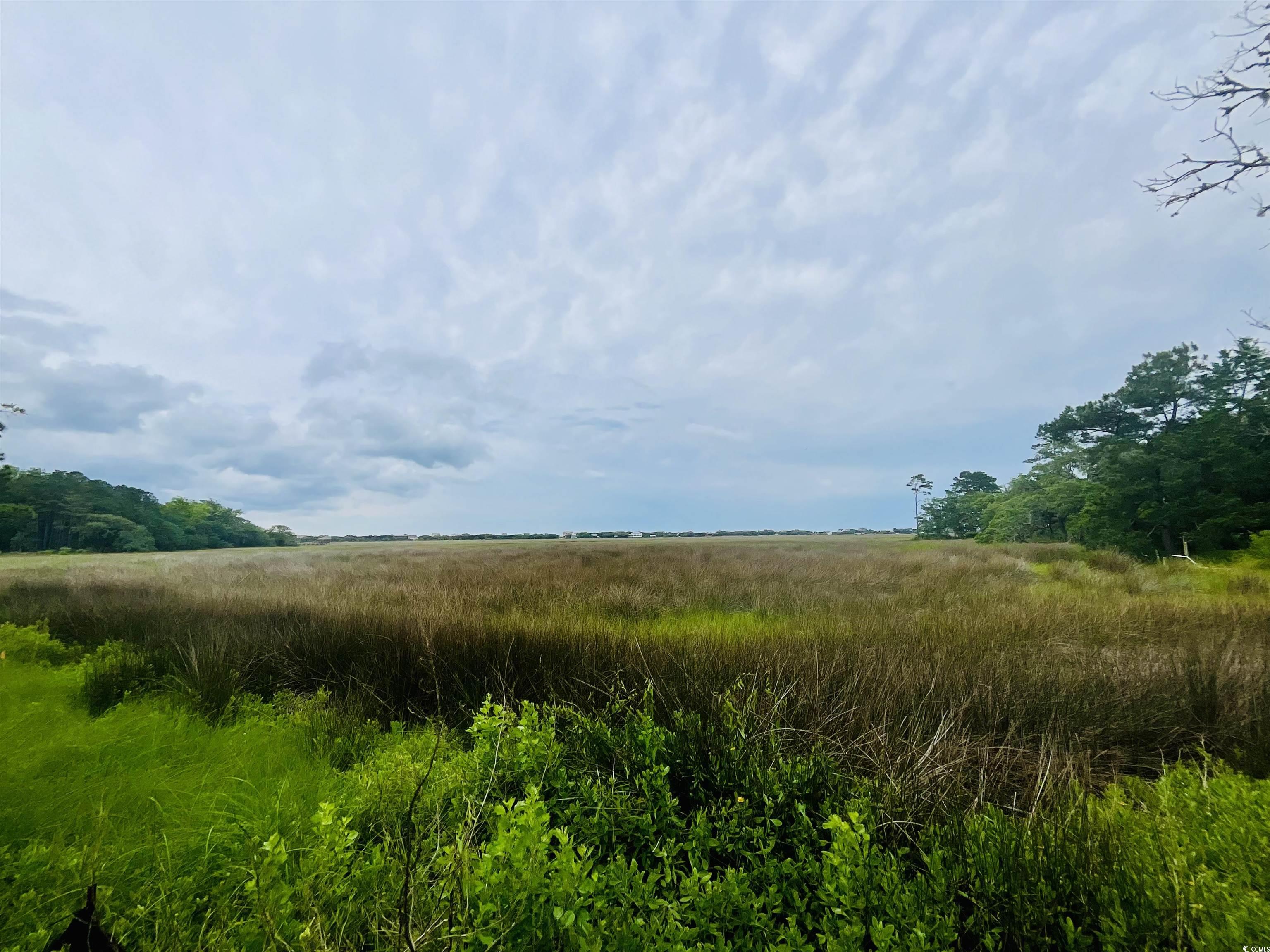 TBD Mud Minnow Dr., Pawleys Island, South Carolina image 22