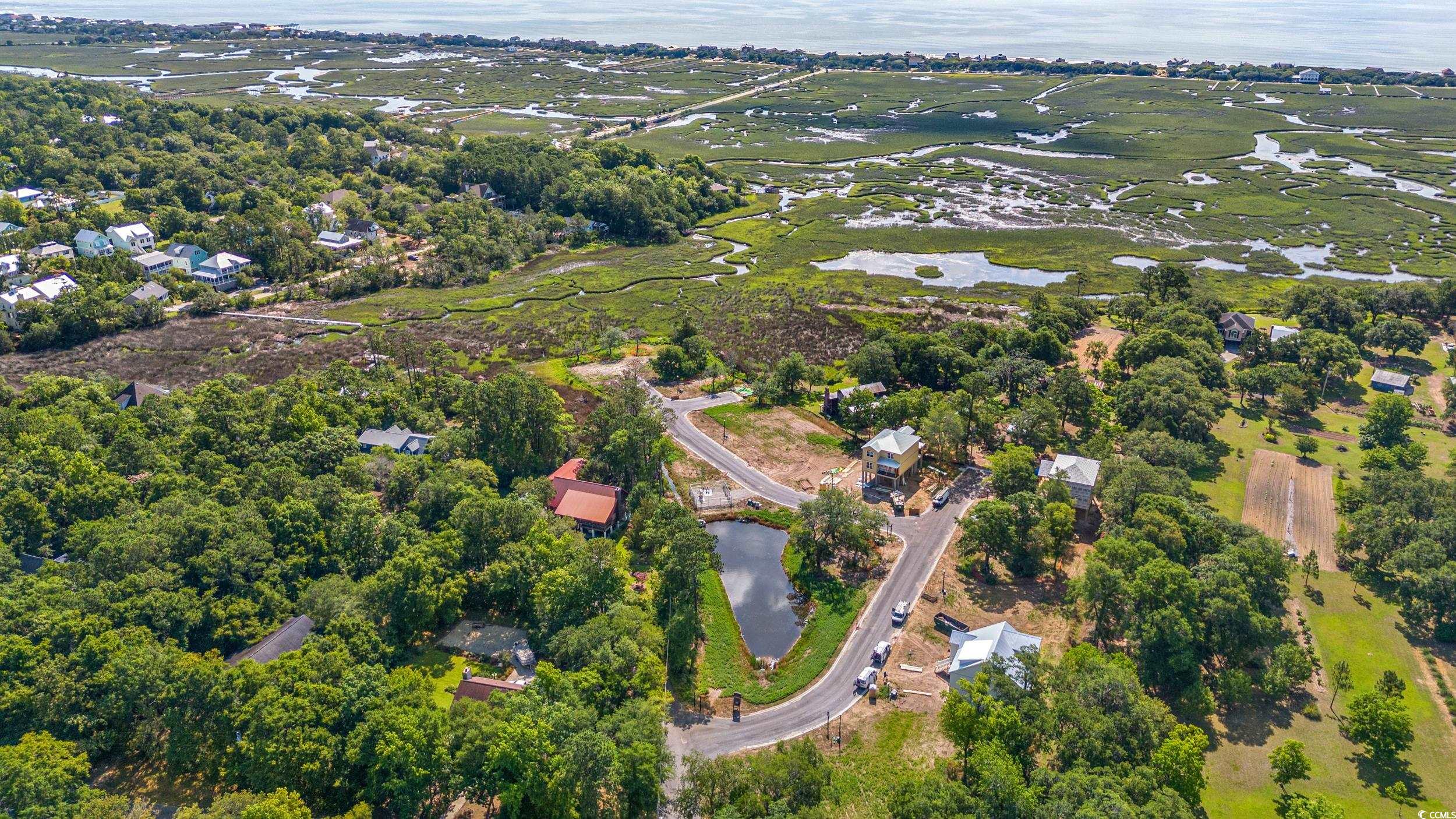 TBD Mud Minnow Dr., Pawleys Island, South Carolina image 31